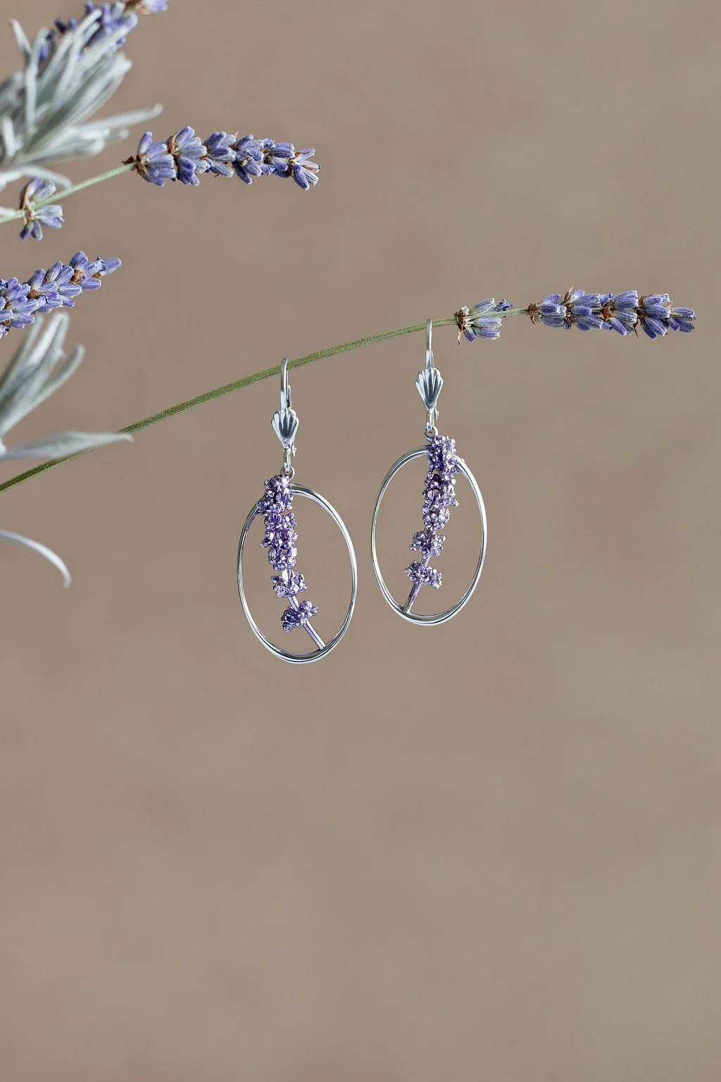 Lavender Earrings | (Lavendula angustifolia)