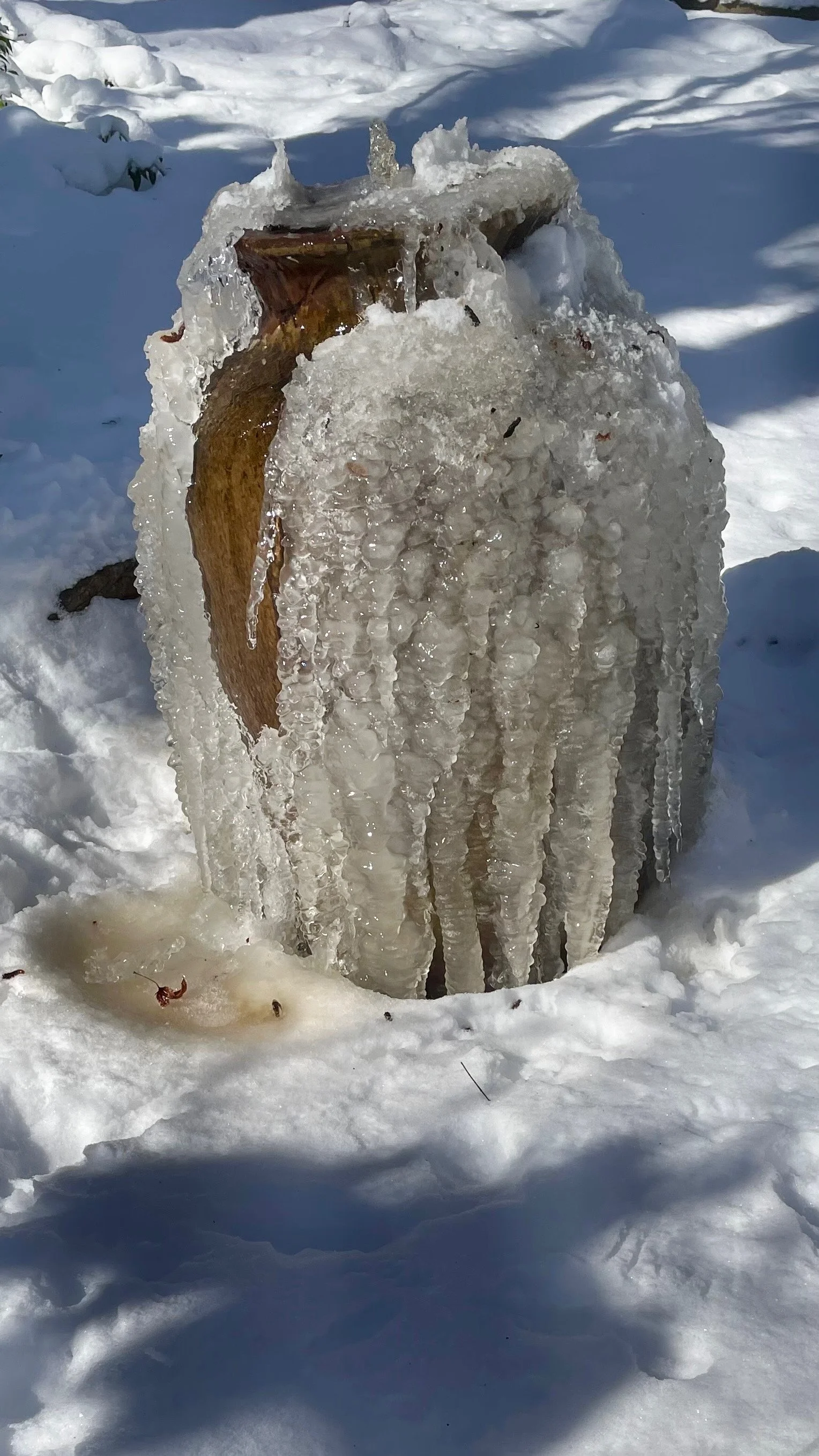 MW Fountain Frozen Feb 1.JPEG