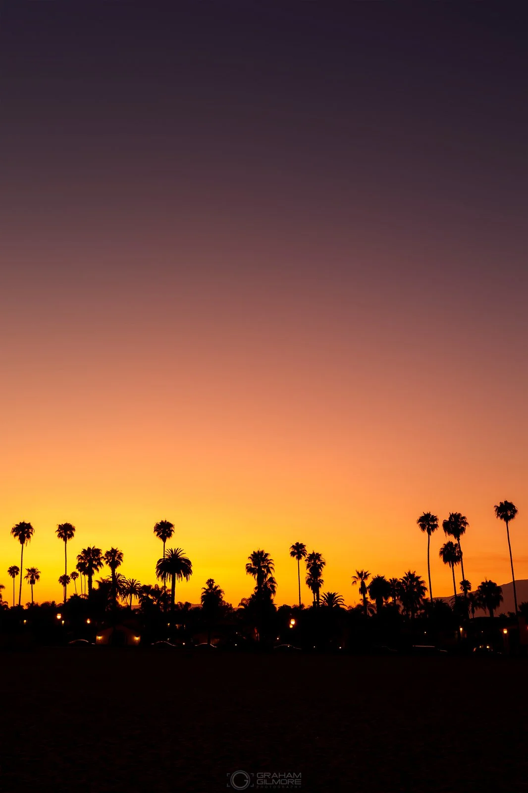 California Beach Sunset Minimal Palm Trees Pink Sky.jpg