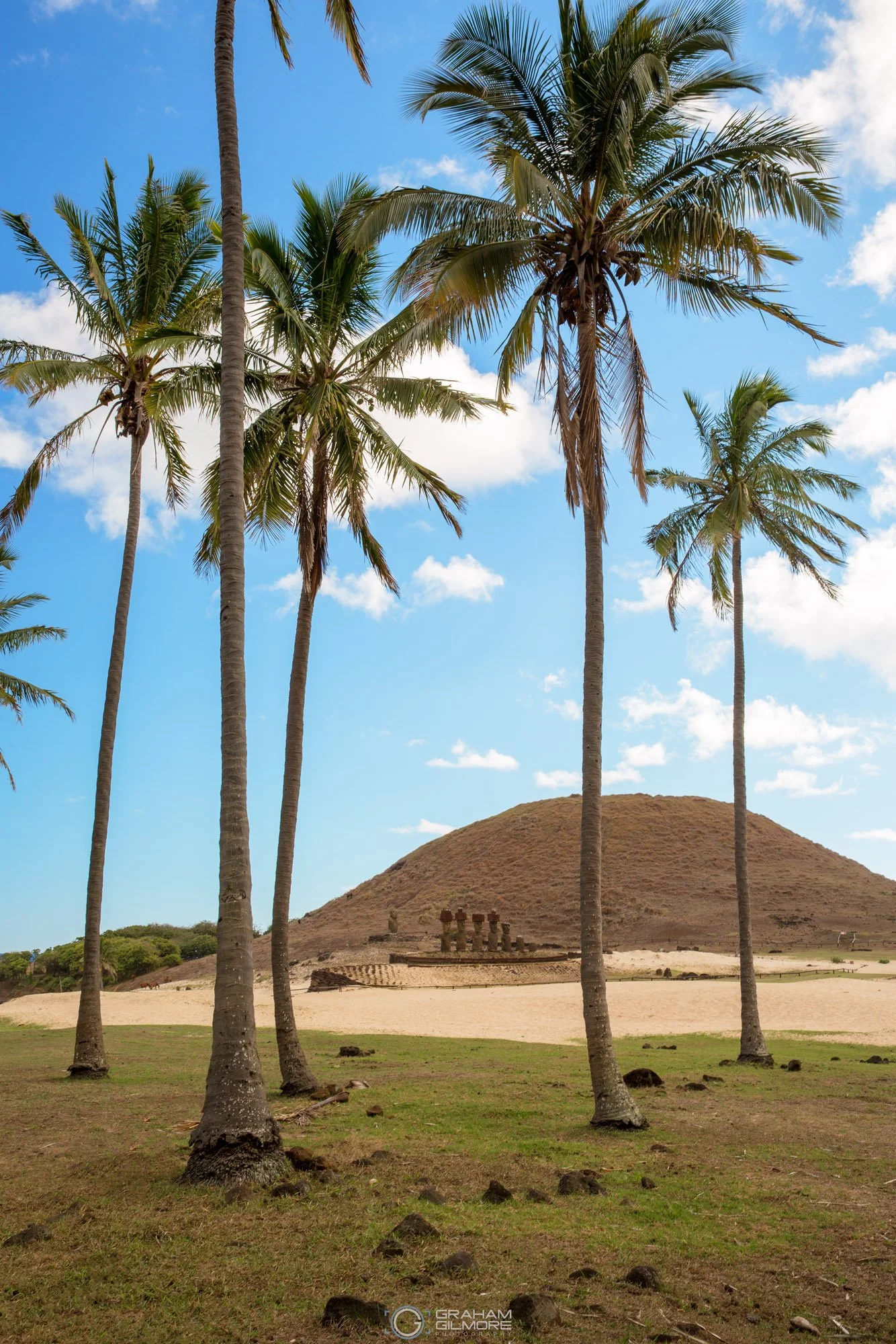 Palm trees framing the Moai statues and volcanic hills at Anakena Beach on Easter Island