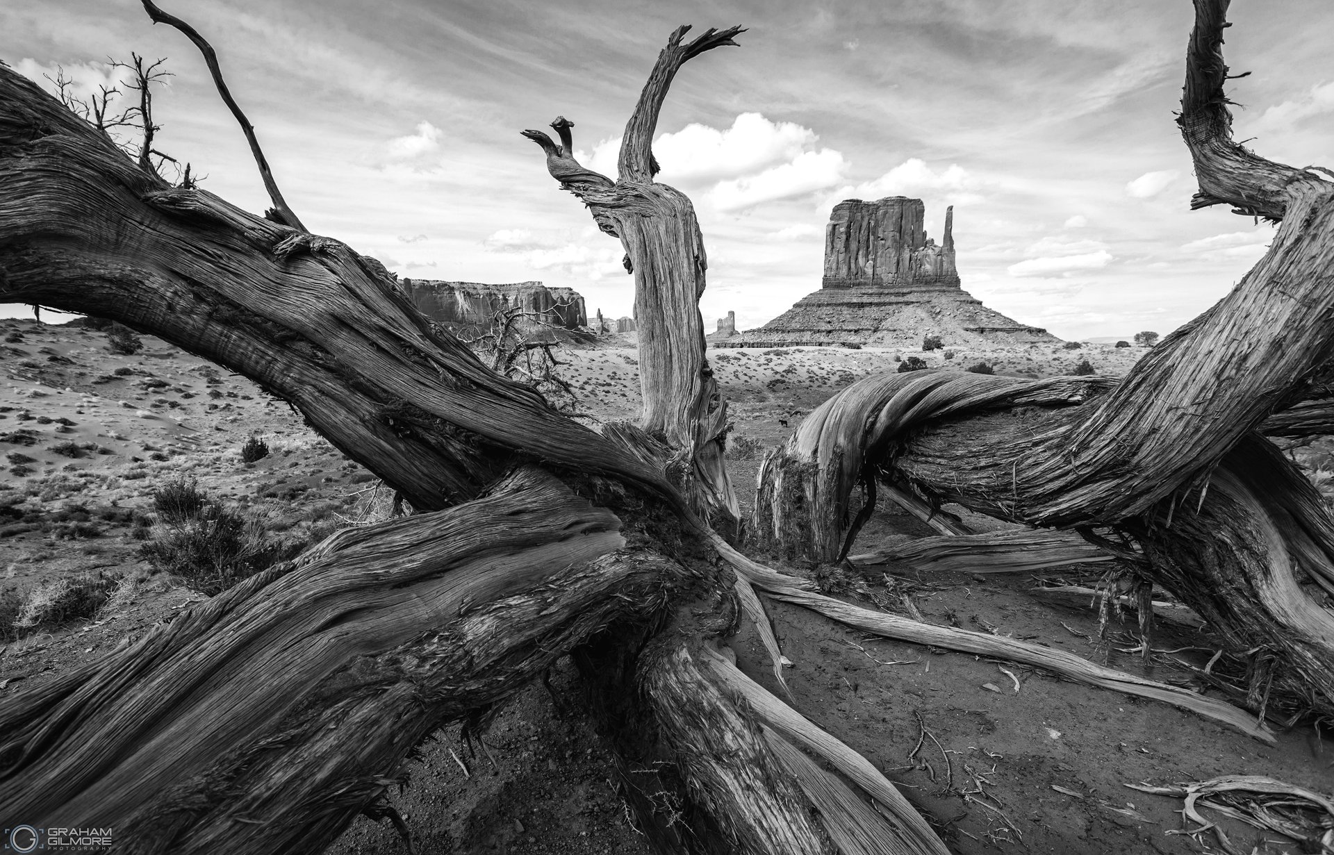 Monument Valley Black and White Vegitation and Butte.jpg