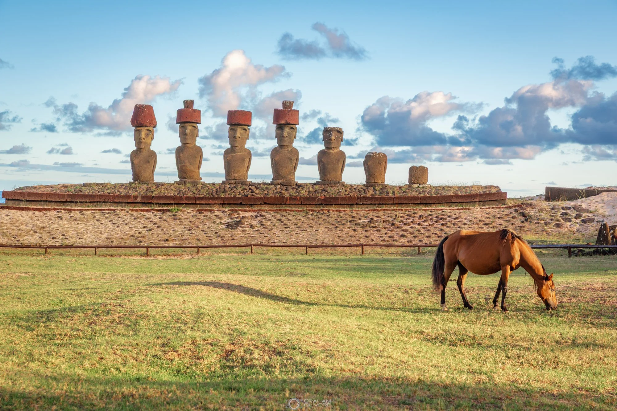 Wild horse grazing in front of Moai statues at Anakena Beach during sunrise on Easter Island