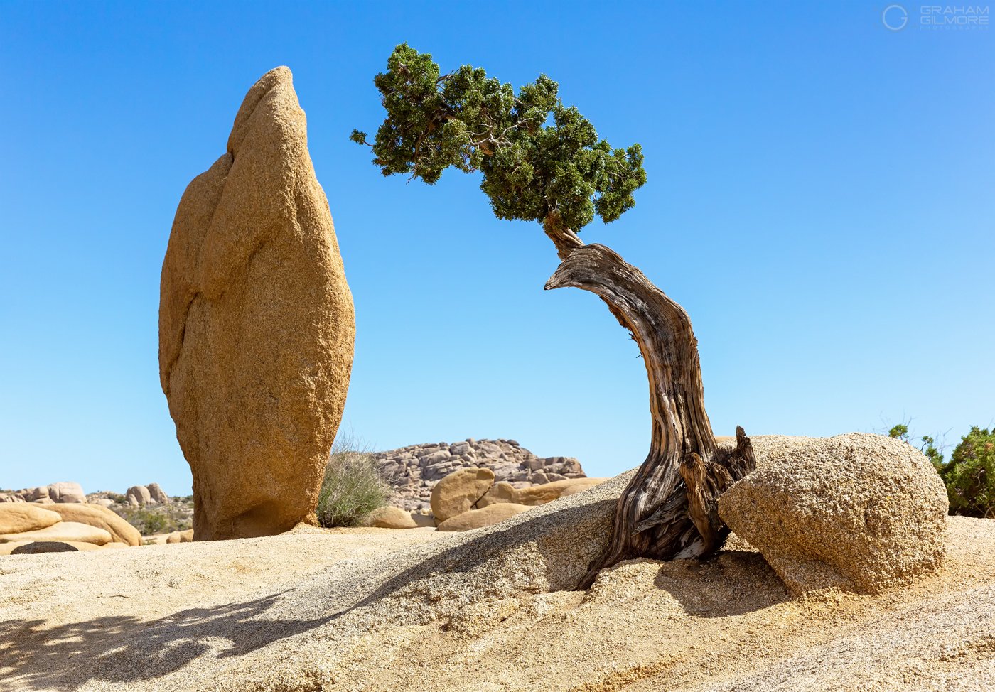 Lone Pine and Standing Rock Joshua Tree California.jpg