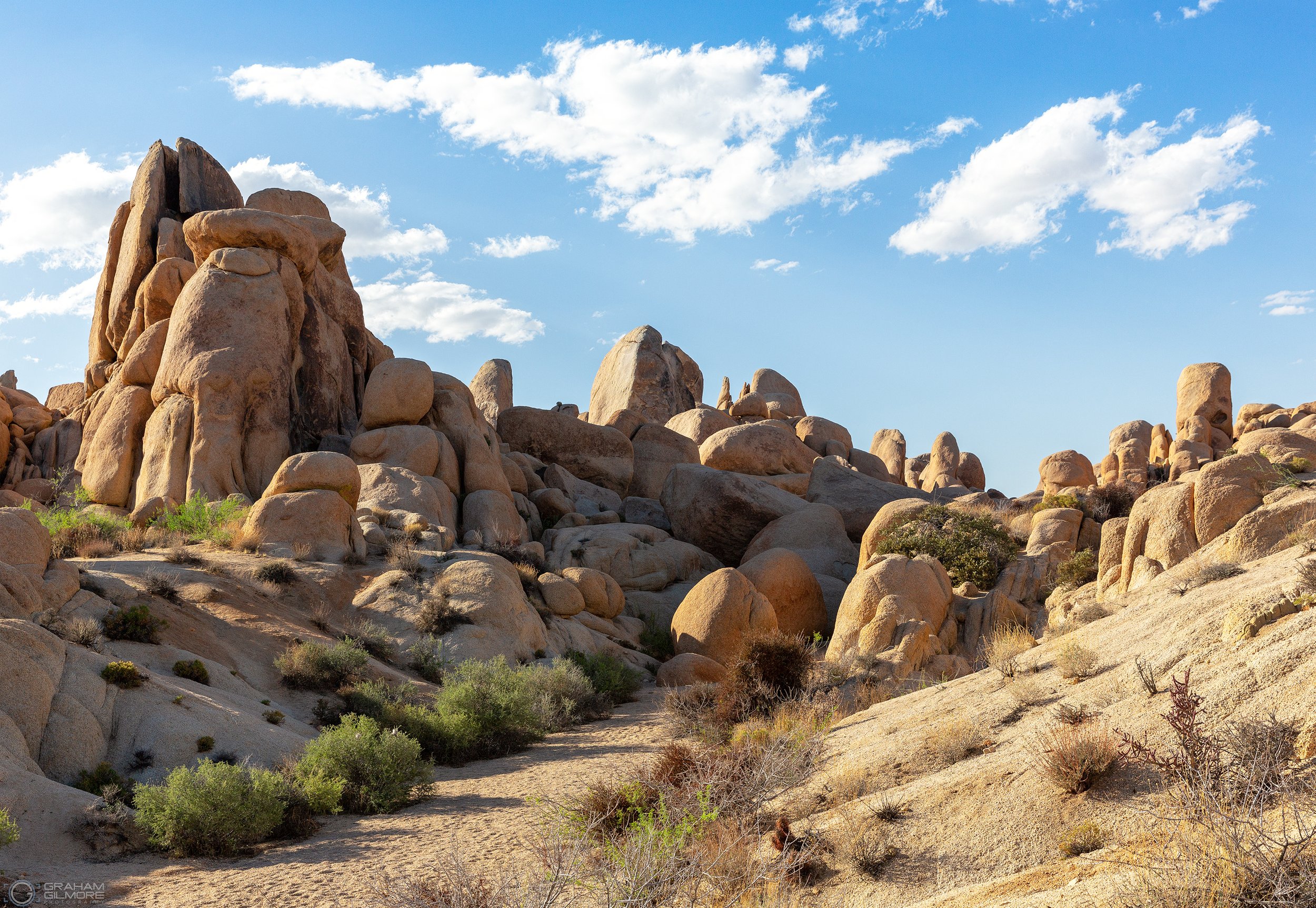 Joshua Tree National Park California USA
