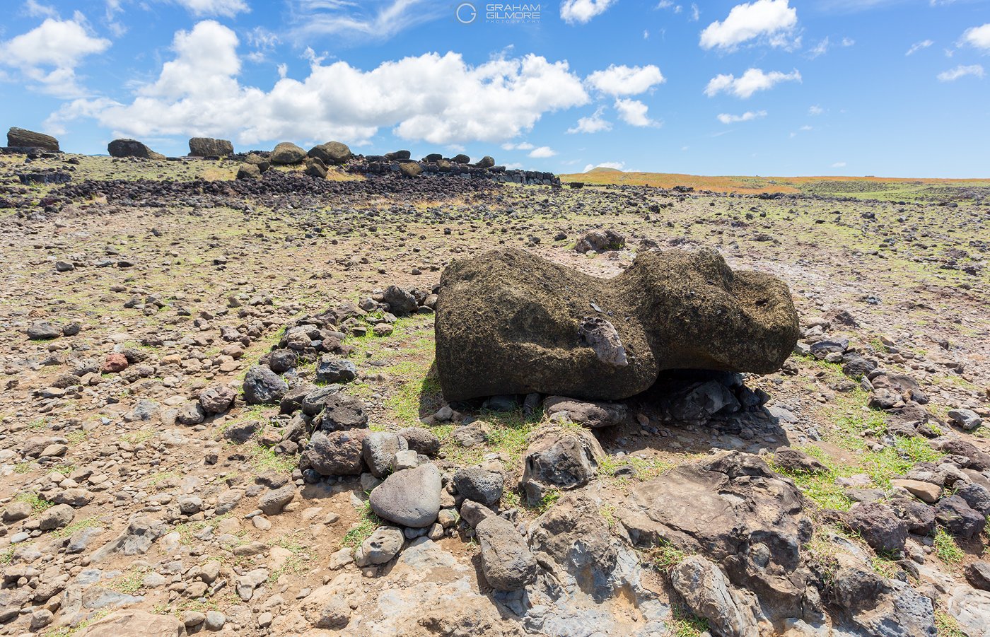 Easter Island Toppled Moai
