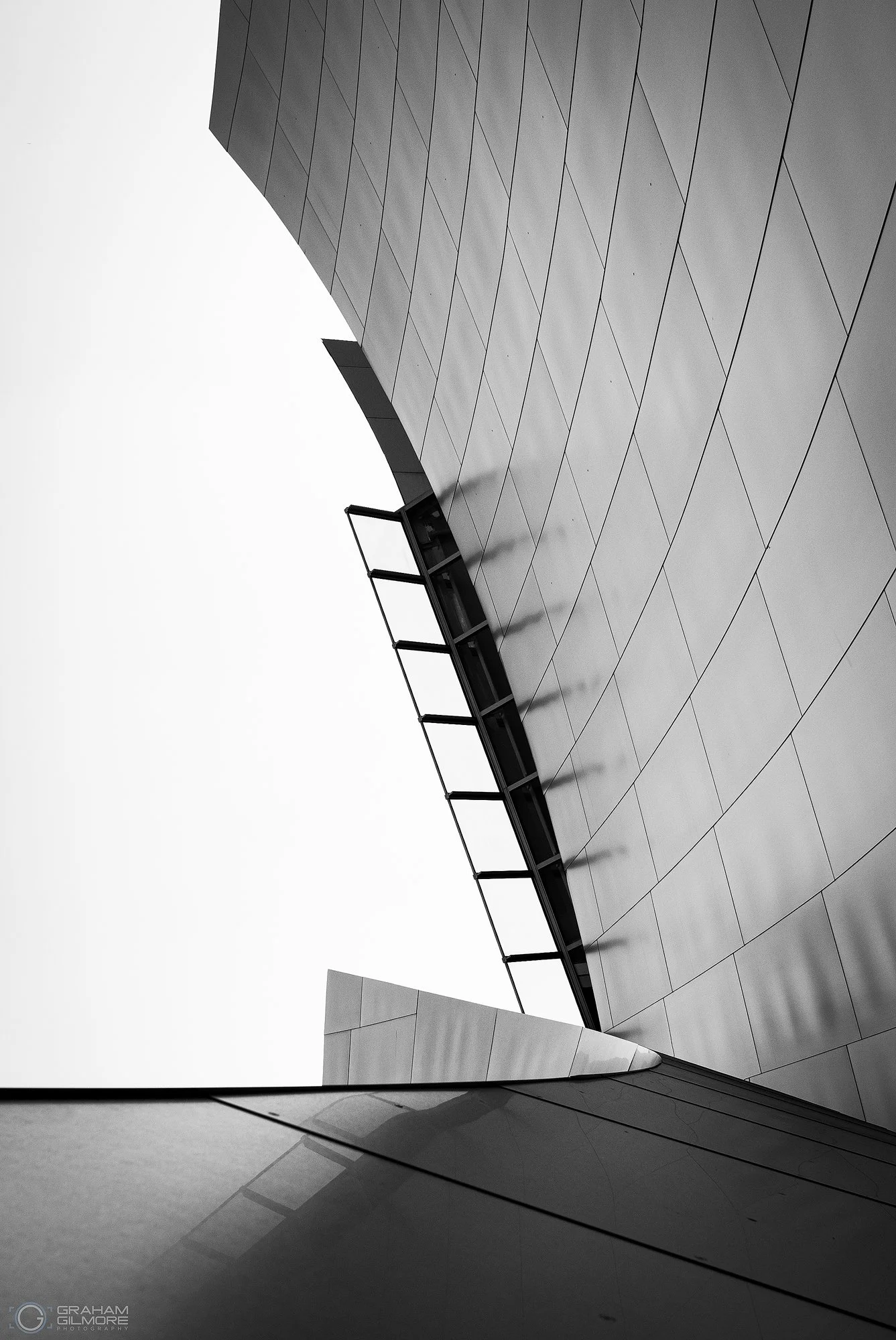 Disney Hall Abstract Black and White.jpg