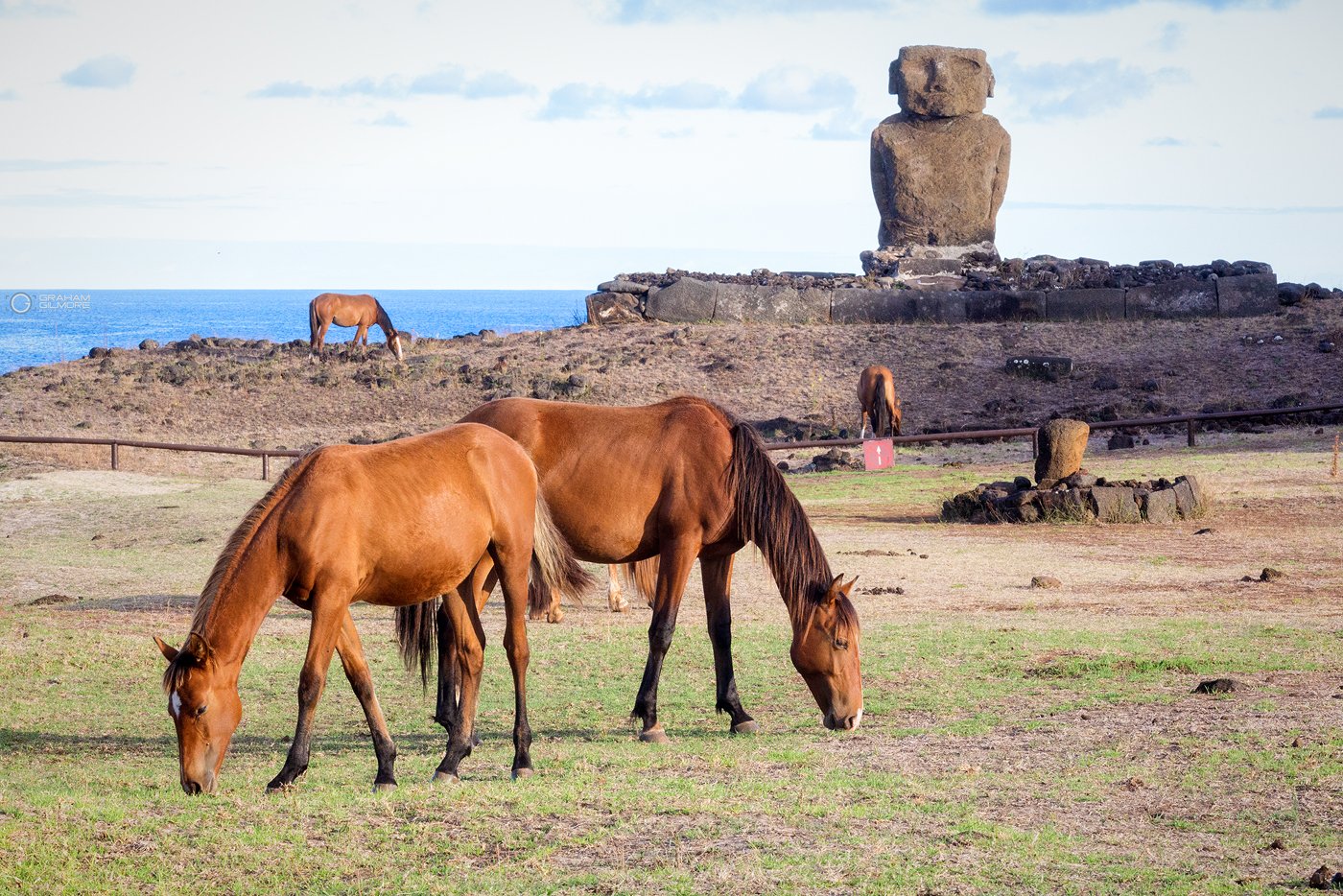 Ahu Anekana with Wild Horses and the ocean