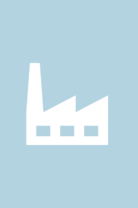 Industriepolitiek verhoogt kans op ondoelmatig beleid