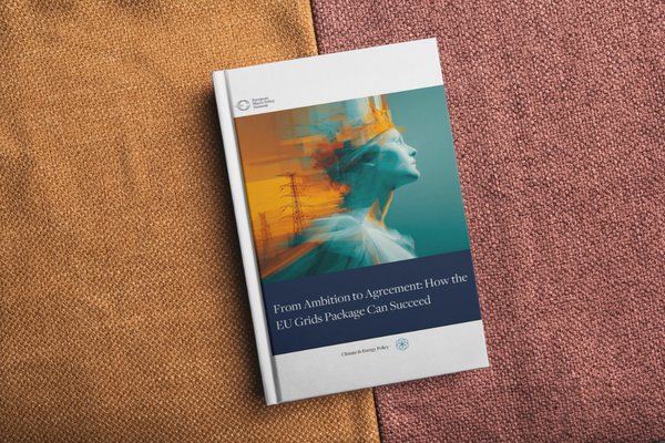 From Ambition to Agreement: How the EU Grids Package Can Succeed