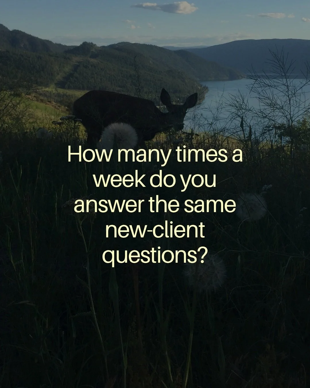 Running a wellness practice already comes with enough moving pieces. Answering the same new-client questions over and over &mdash; what to bring, how billing works, what to expect, where to go &mdash; adds even more admin to your day.

A client welco