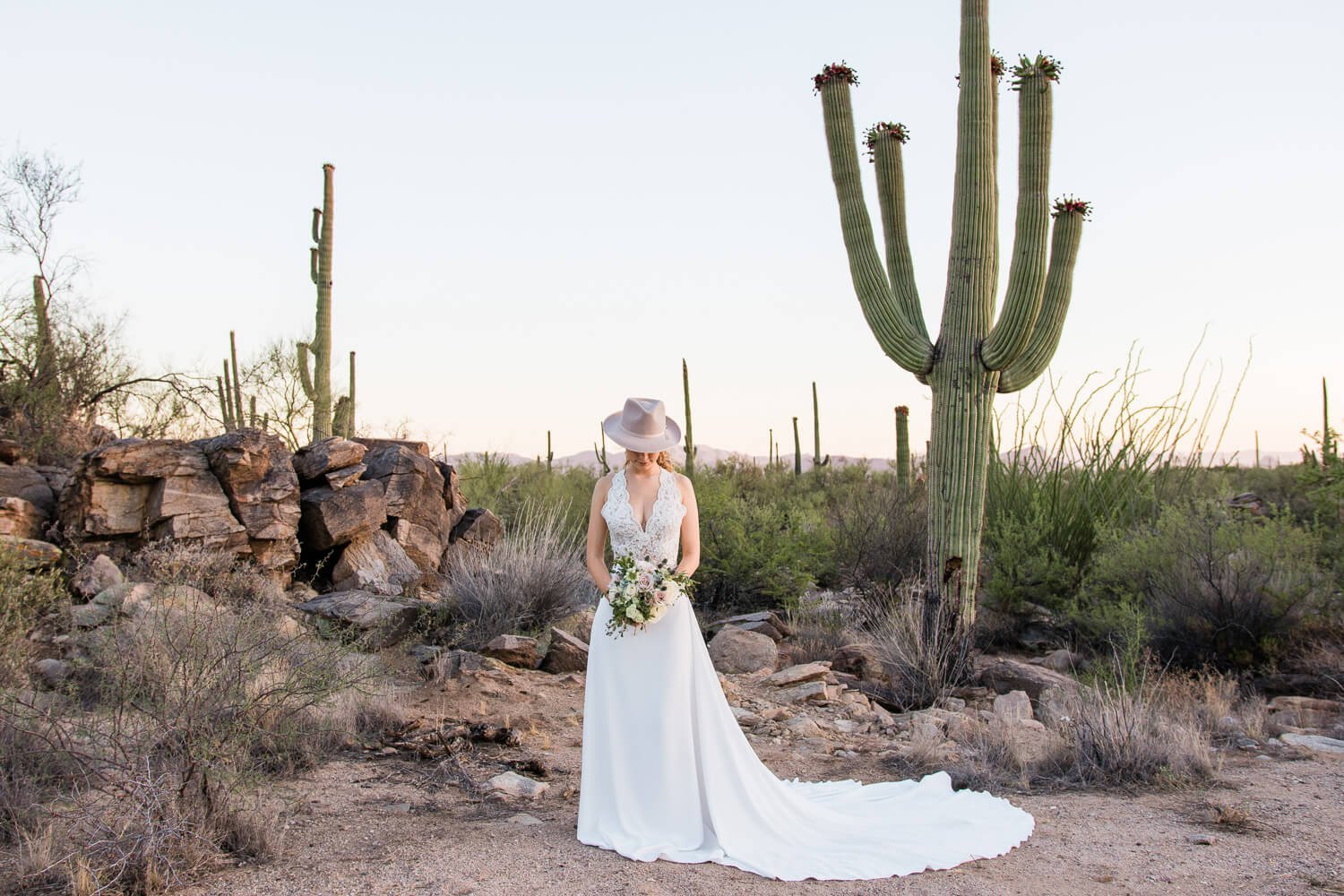Morgan Newsom destination Tucson Arizona wedding photographer-2019.jpg