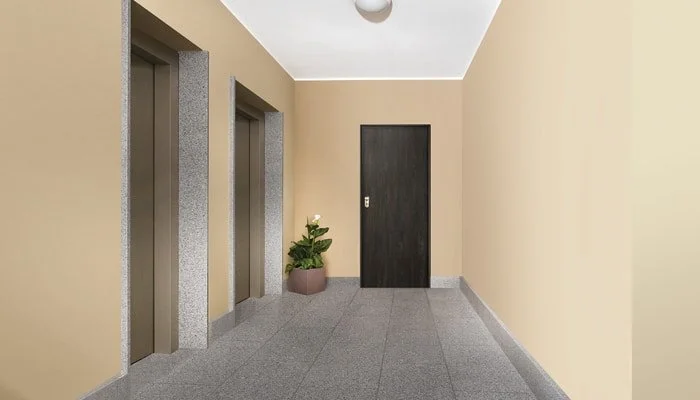 Corretta interpretazione dell'immagine di un corridoio con due ascensori, una porta, una pianta e una luce sul soffitto.