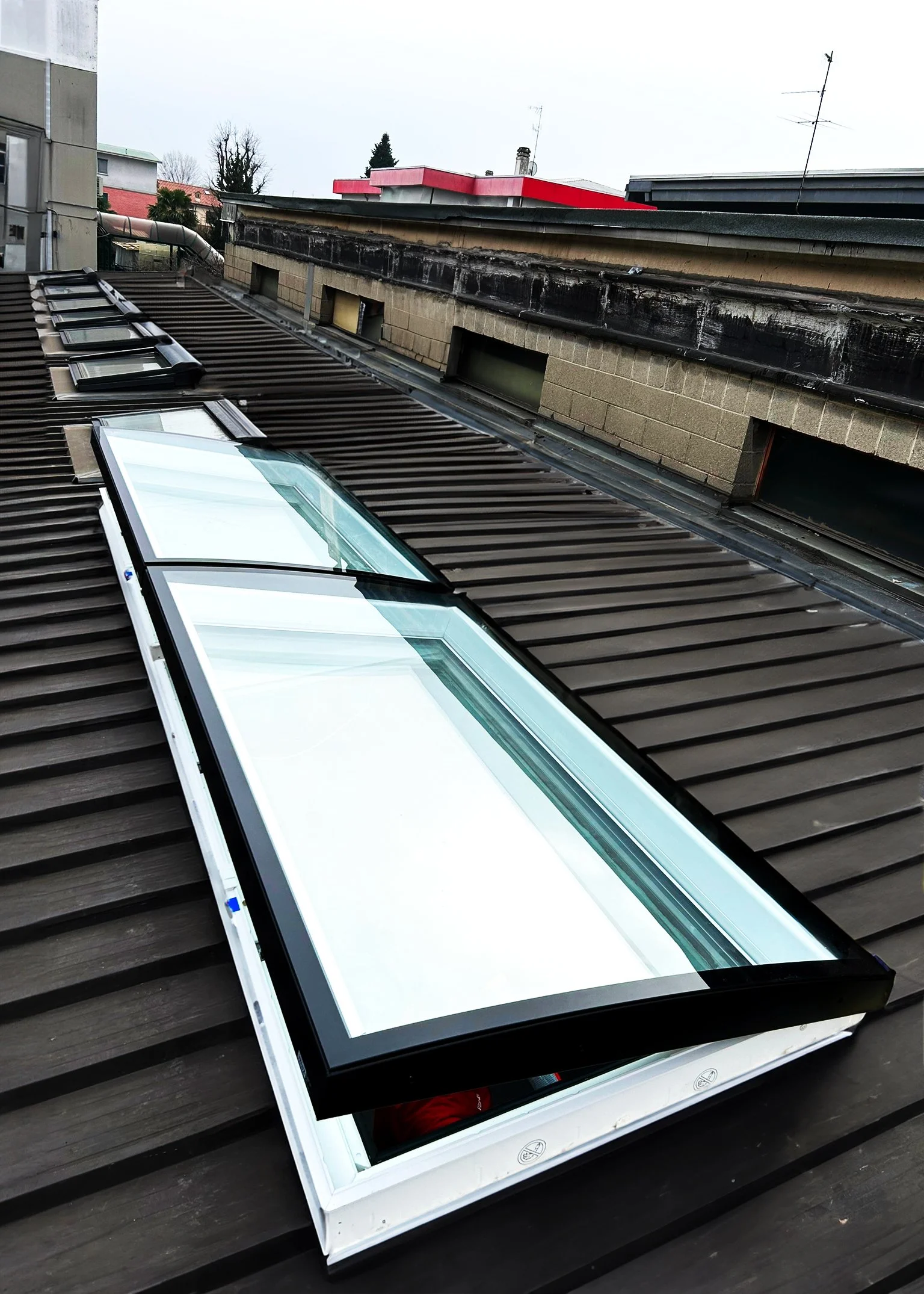 PHOTO-2023-01-18-15-07-21 2_2.jpg