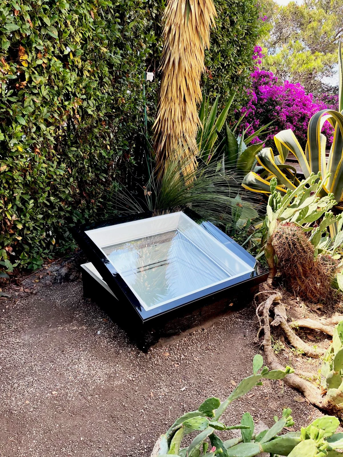 PHOTO-2024-07-17-14-05-29 7.jpg