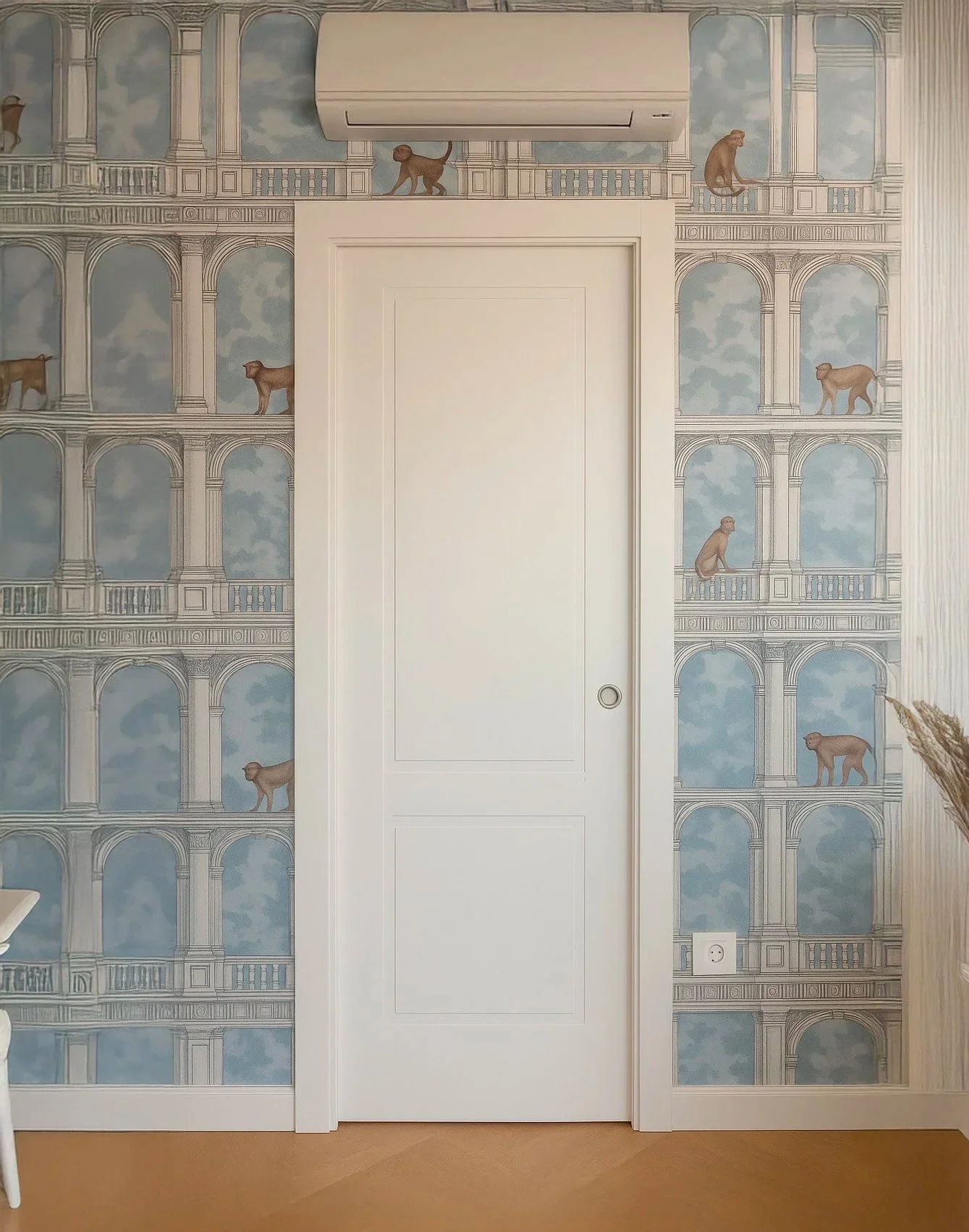 porta scimmietta.jpg