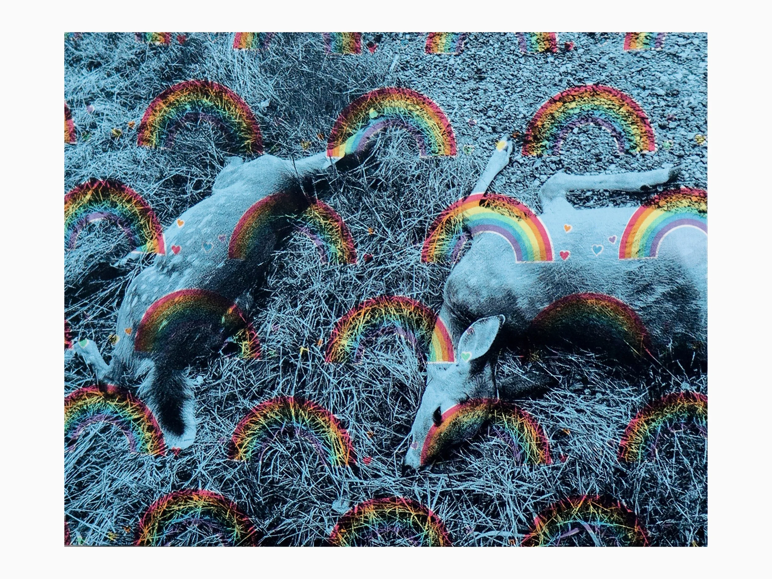 ROADKILL PAINTINGS (FOUND SERIES) (2025)
