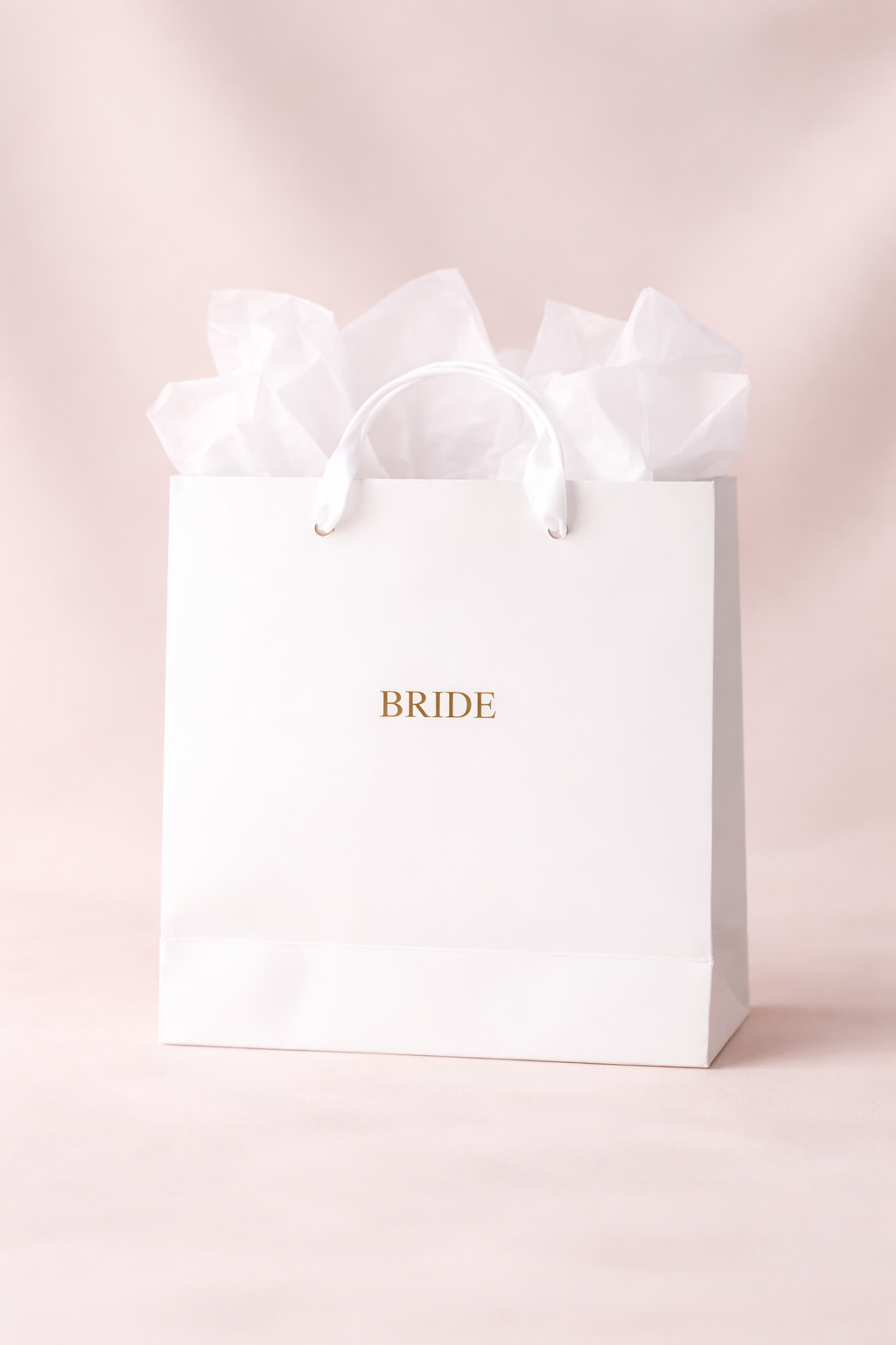 ChatGPT Image Feb 2, 2026, 02_33_20 PM.png (Copy)