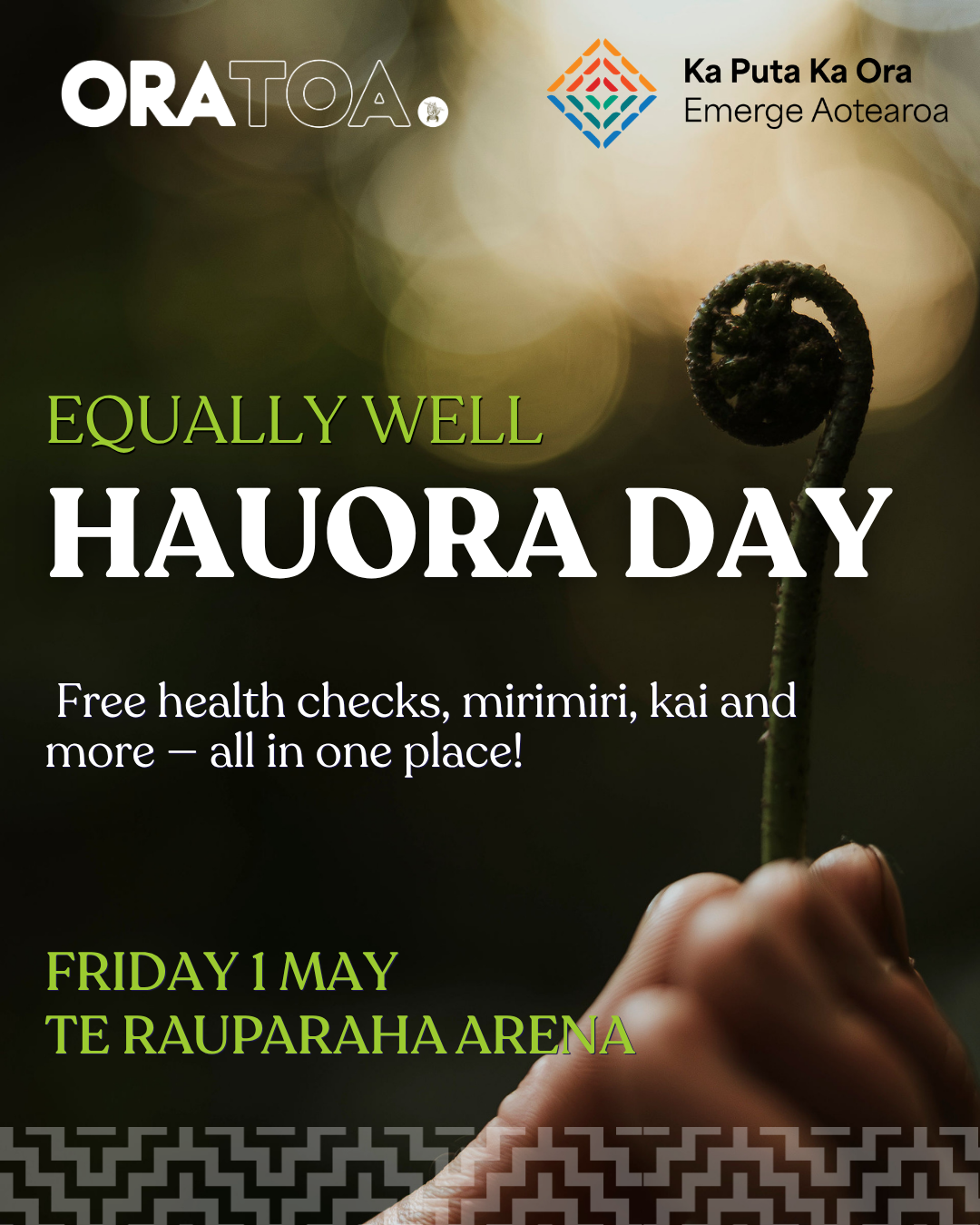 Equally Well - Free Hauora Event