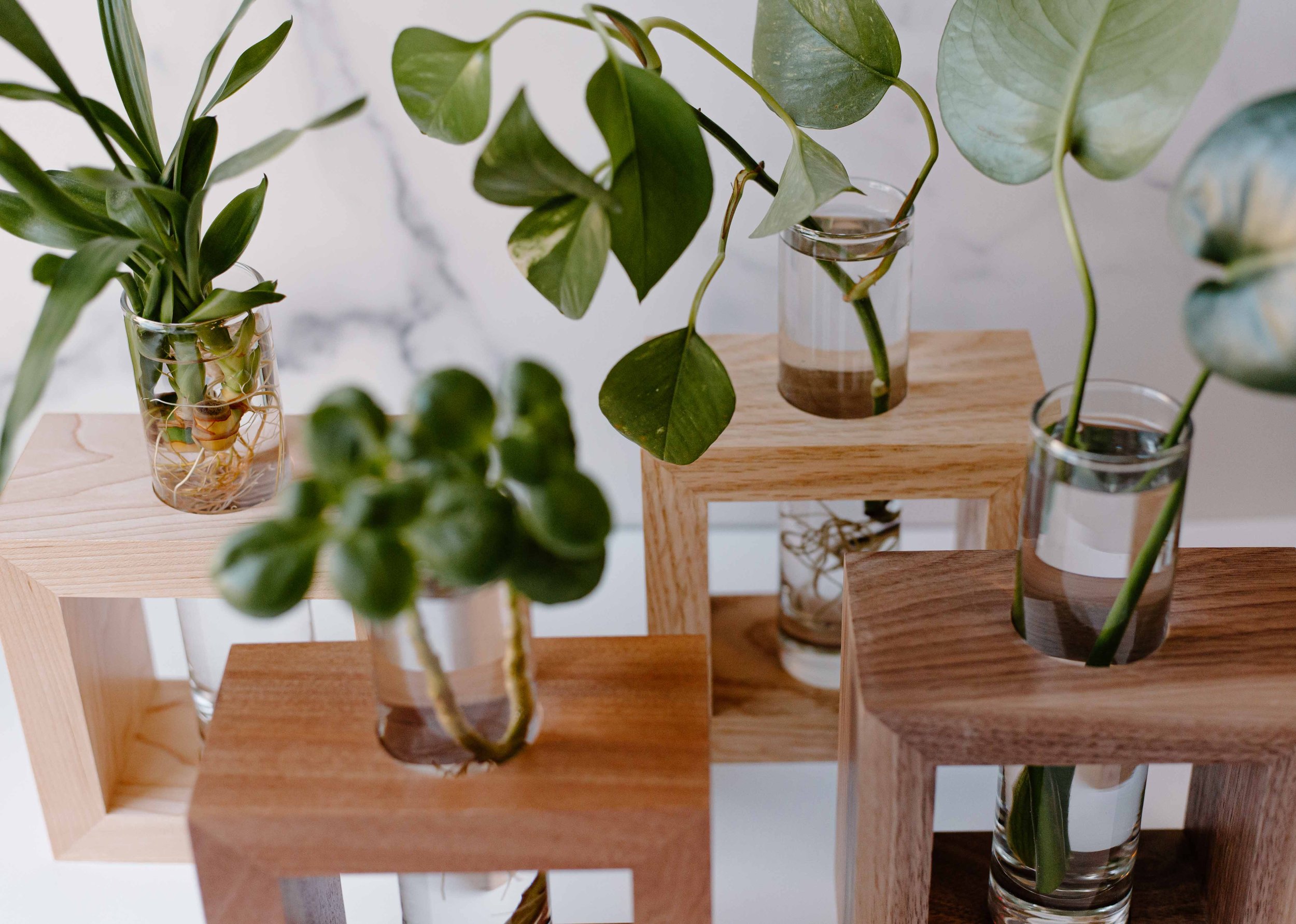 AdelineArtistry-GrowVases-NYCProductPhotographer-31.jpg