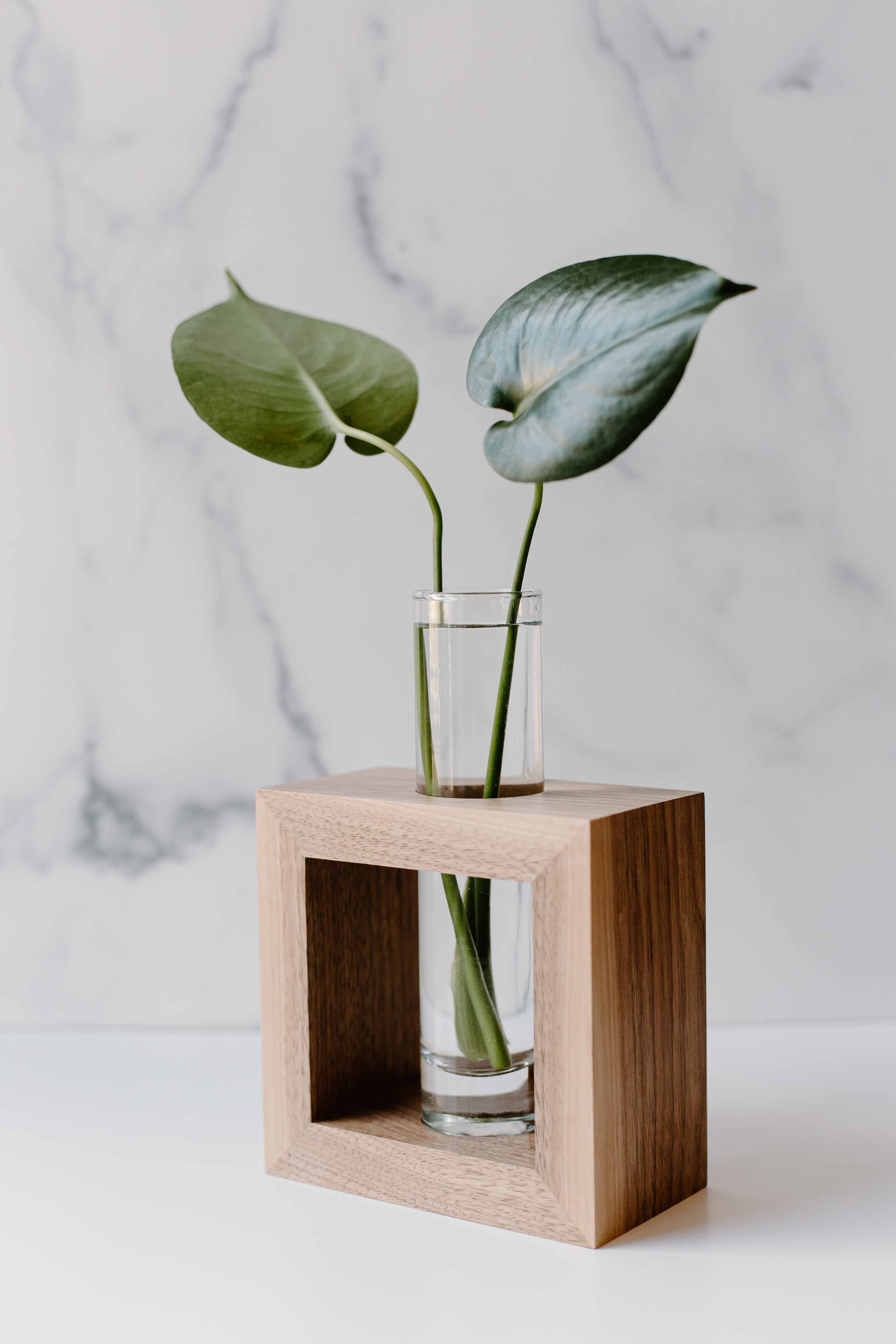 AdelineArtistry-GrowVases-NYCProductPhotographer-15.jpg