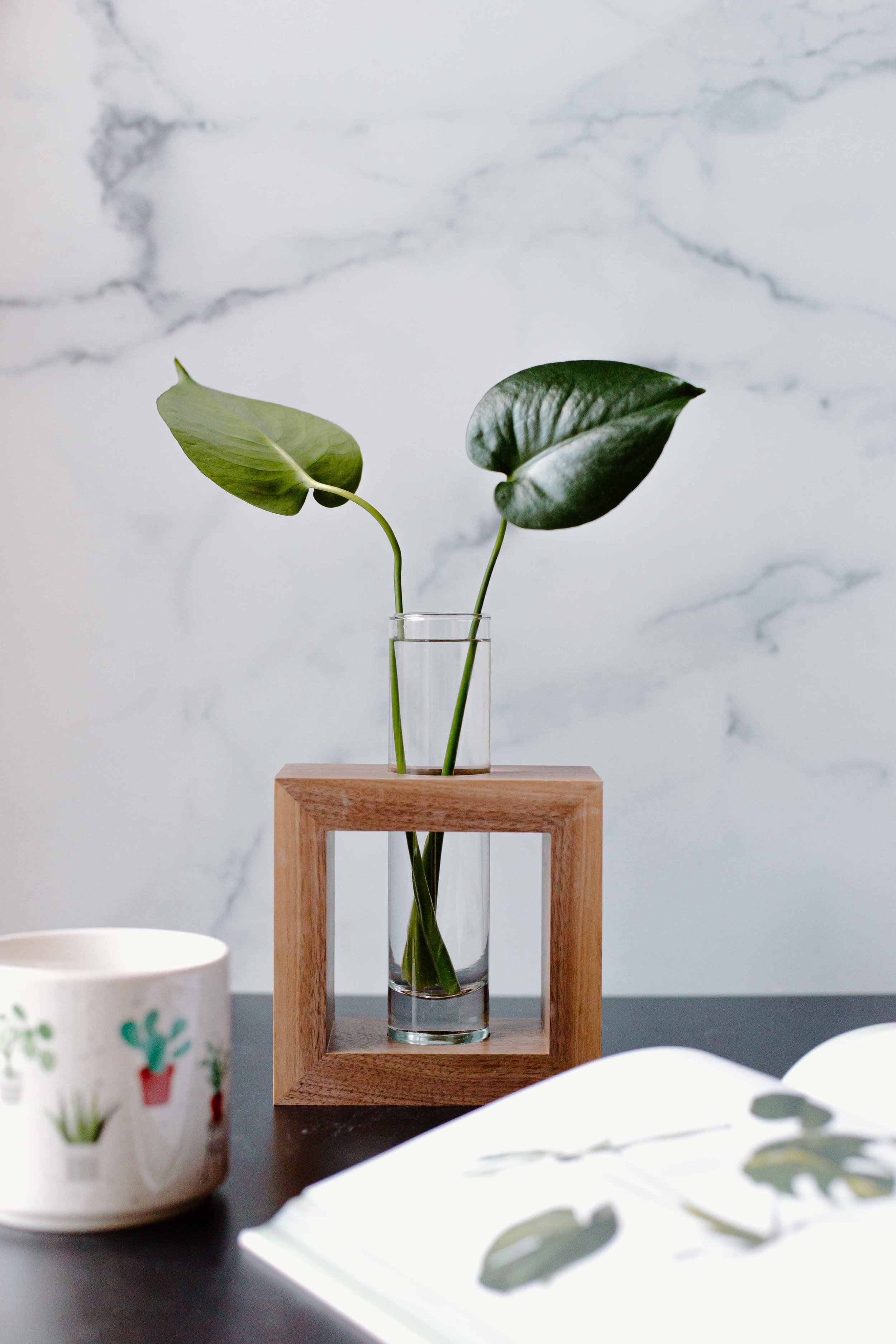 AdelineArtistry-GrowVases-NYCProductPhotographer-41.jpg