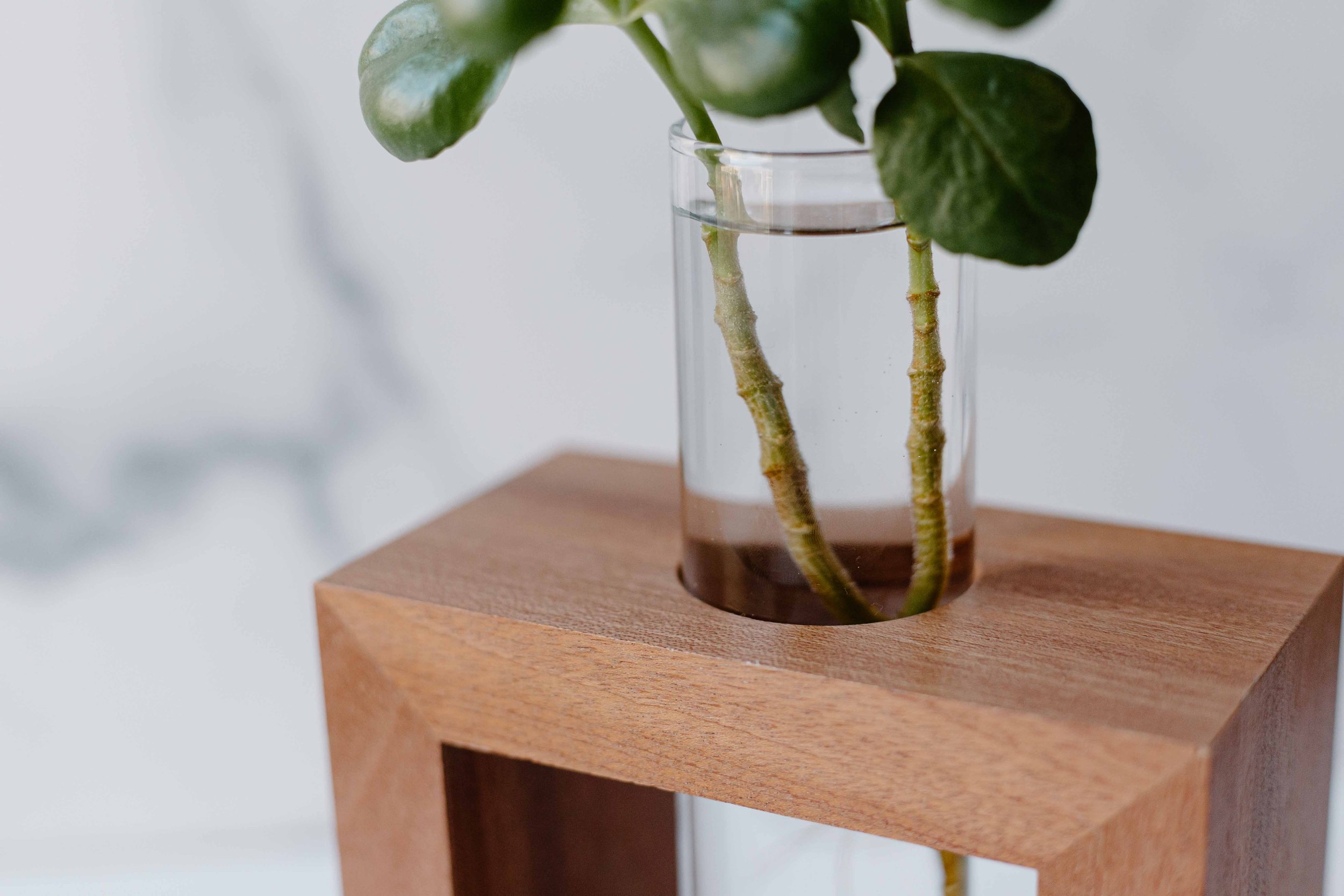AdelineArtistry-GrowVases-NYCProductPhotographer-12.jpg