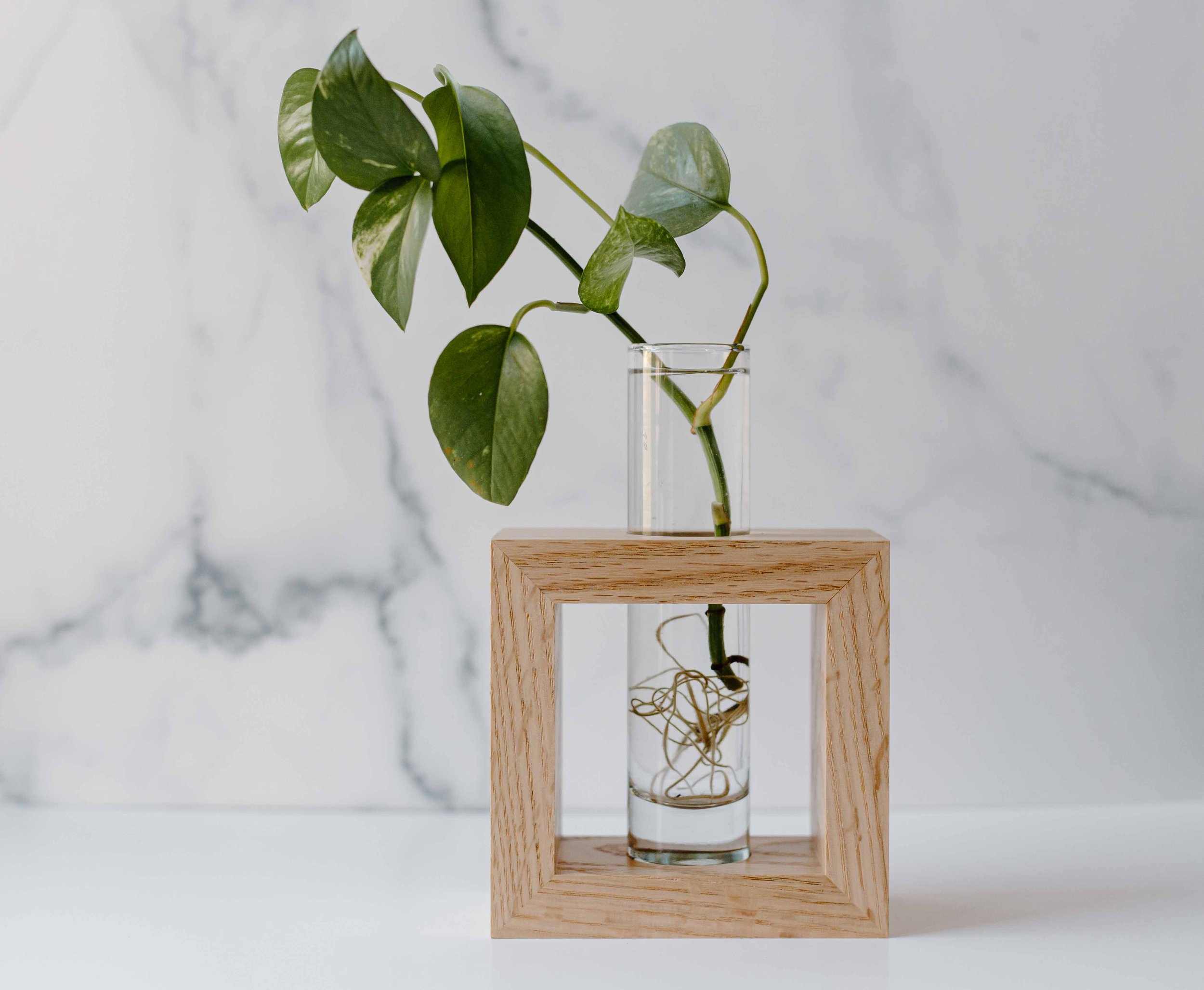 AdelineArtistry-GrowVases-NYCProductPhotographer-19.jpg