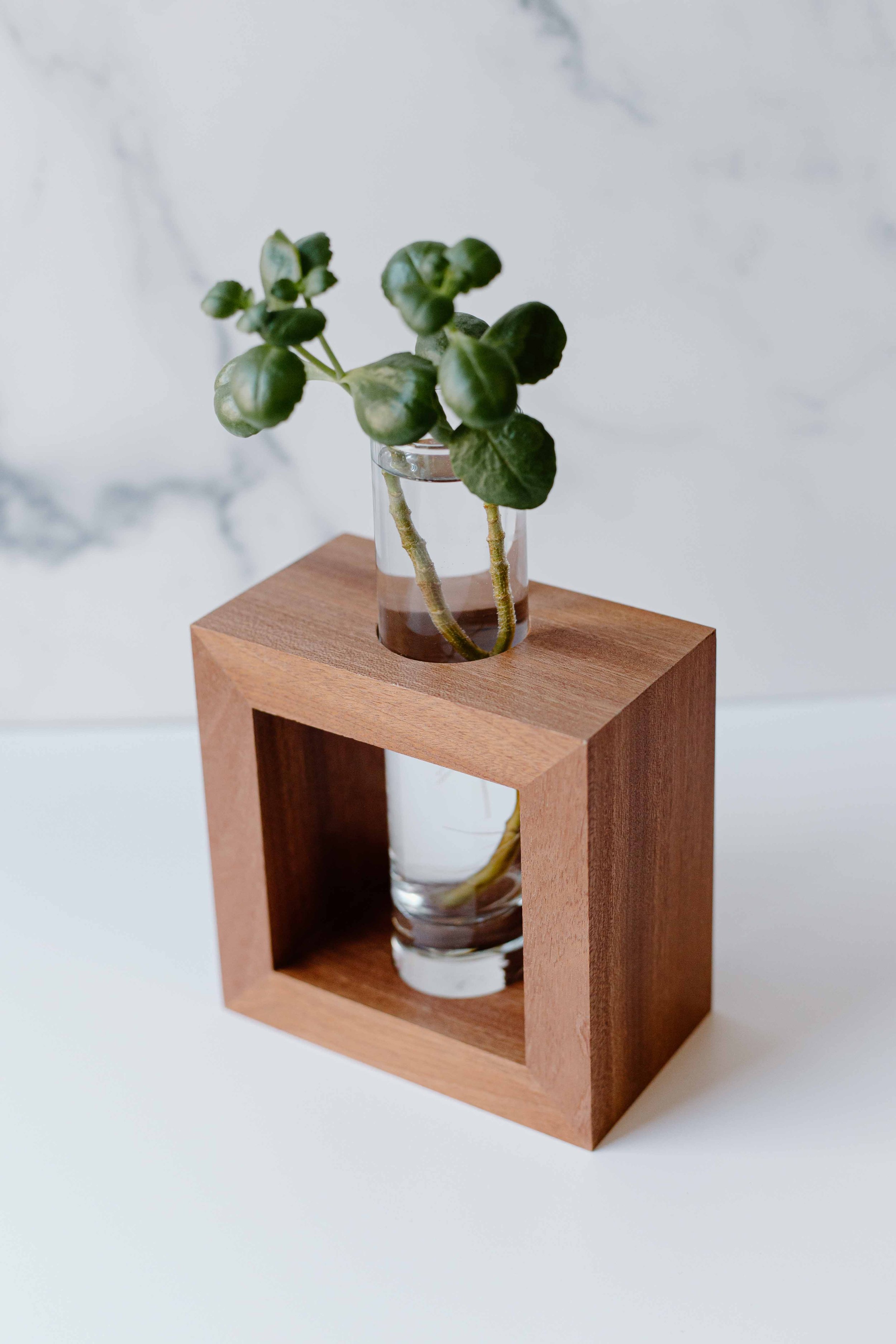 AdelineArtistry-GrowVases-NYCProductPhotographer-11.jpg