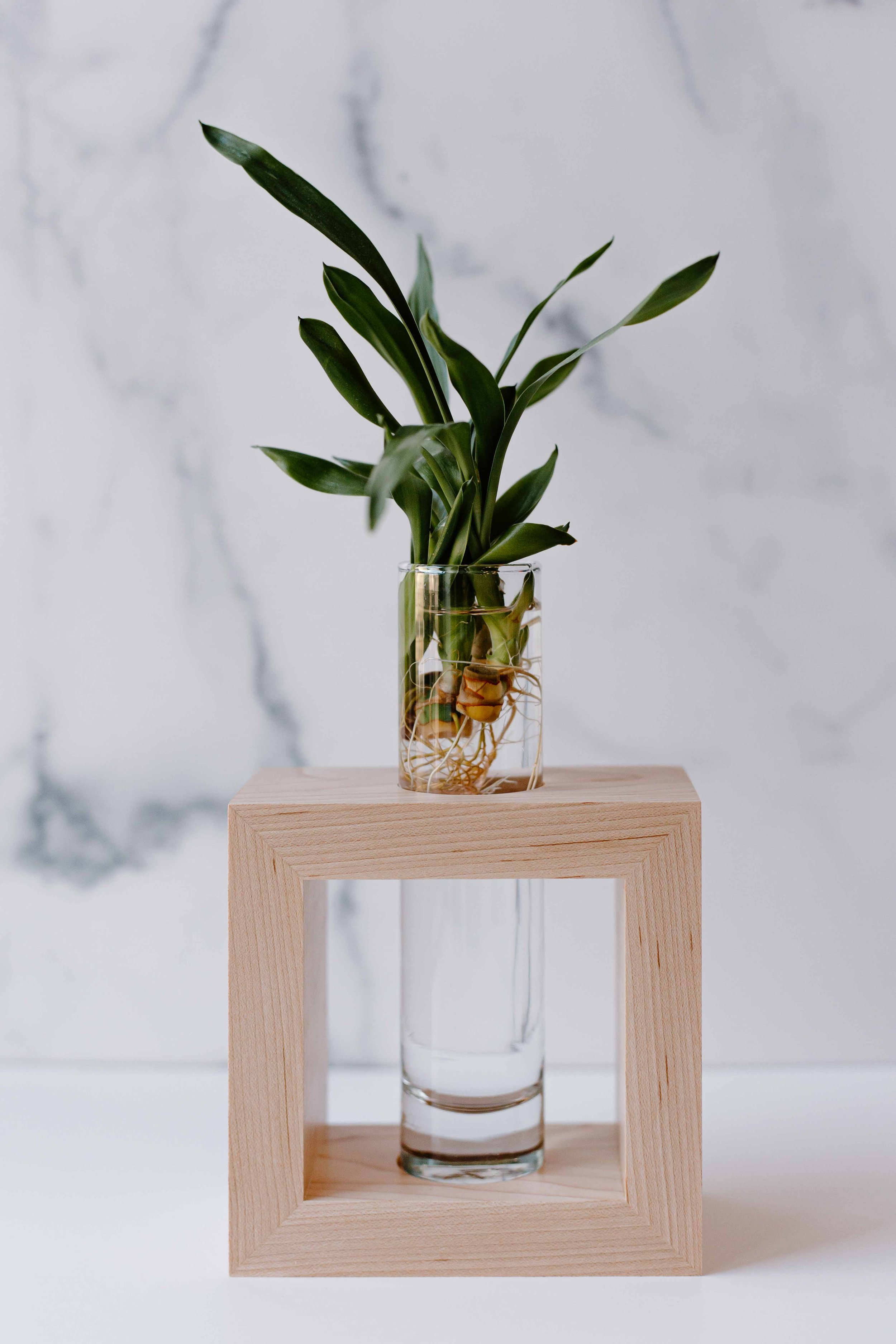 AdelineArtistry-GrowVases-NYCProductPhotographer-24.jpg
