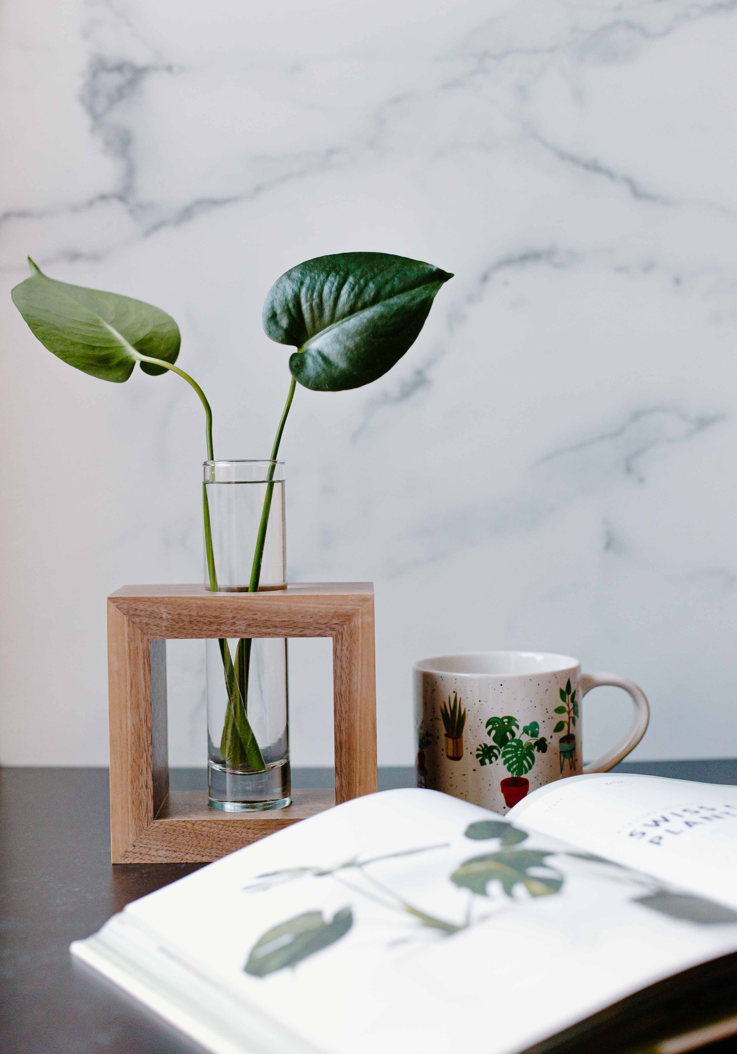 AdelineArtistry-GrowVases-NYCProductPhotographer-40.jpg