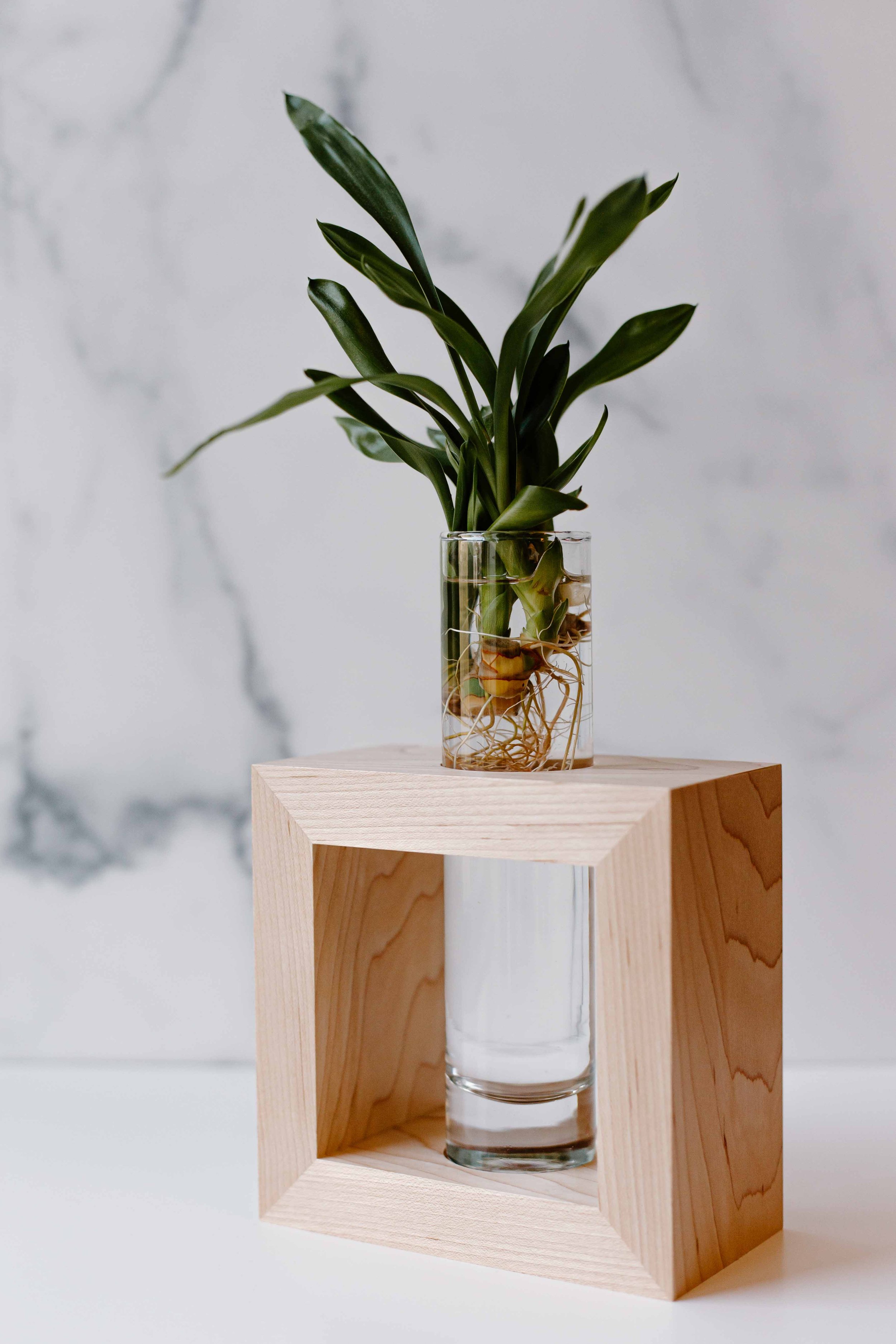 AdelineArtistry-GrowVases-NYCProductPhotographer-25.jpg