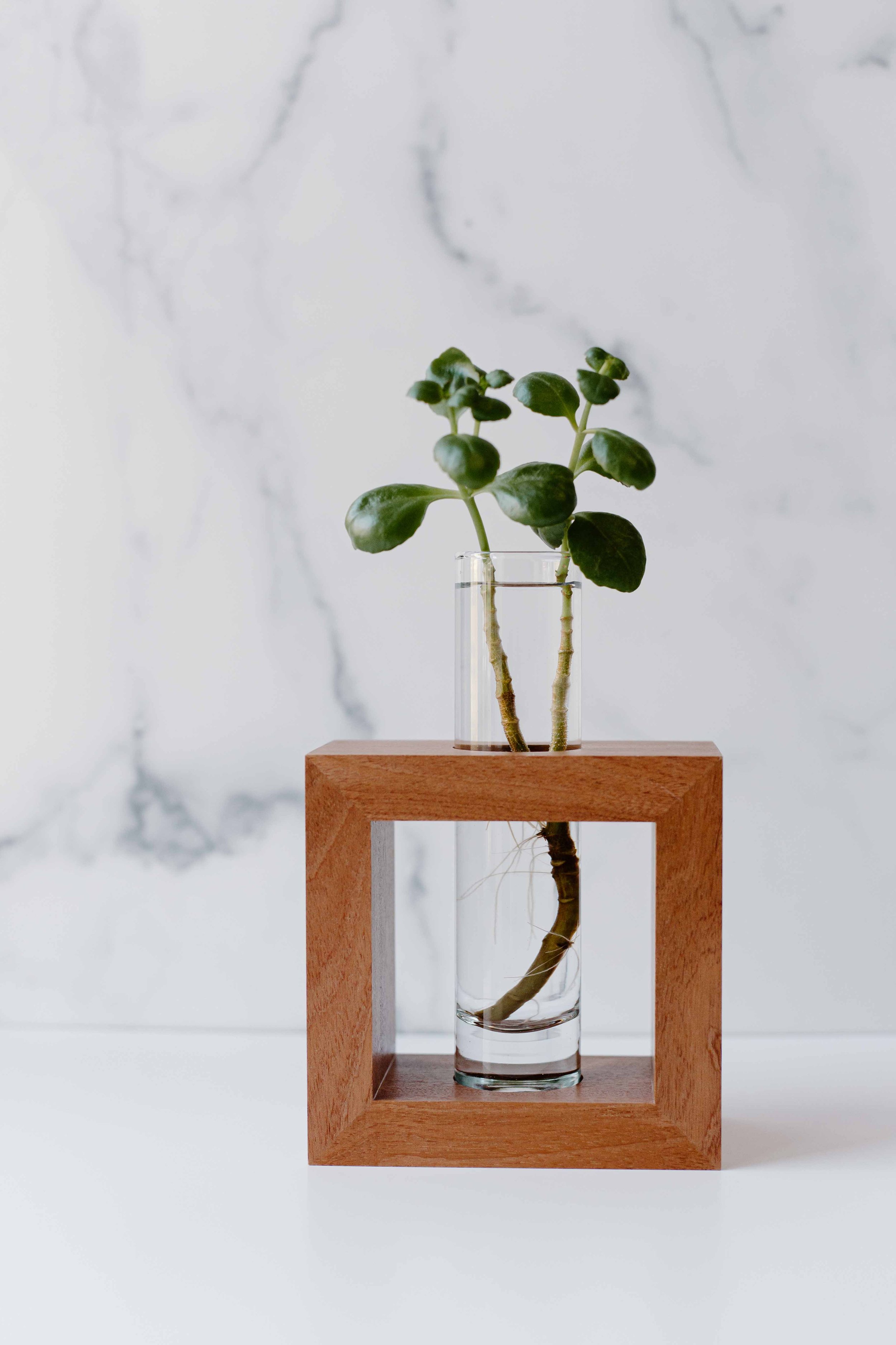 AdelineArtistry-GrowVases-NYCProductPhotographer-6.jpg