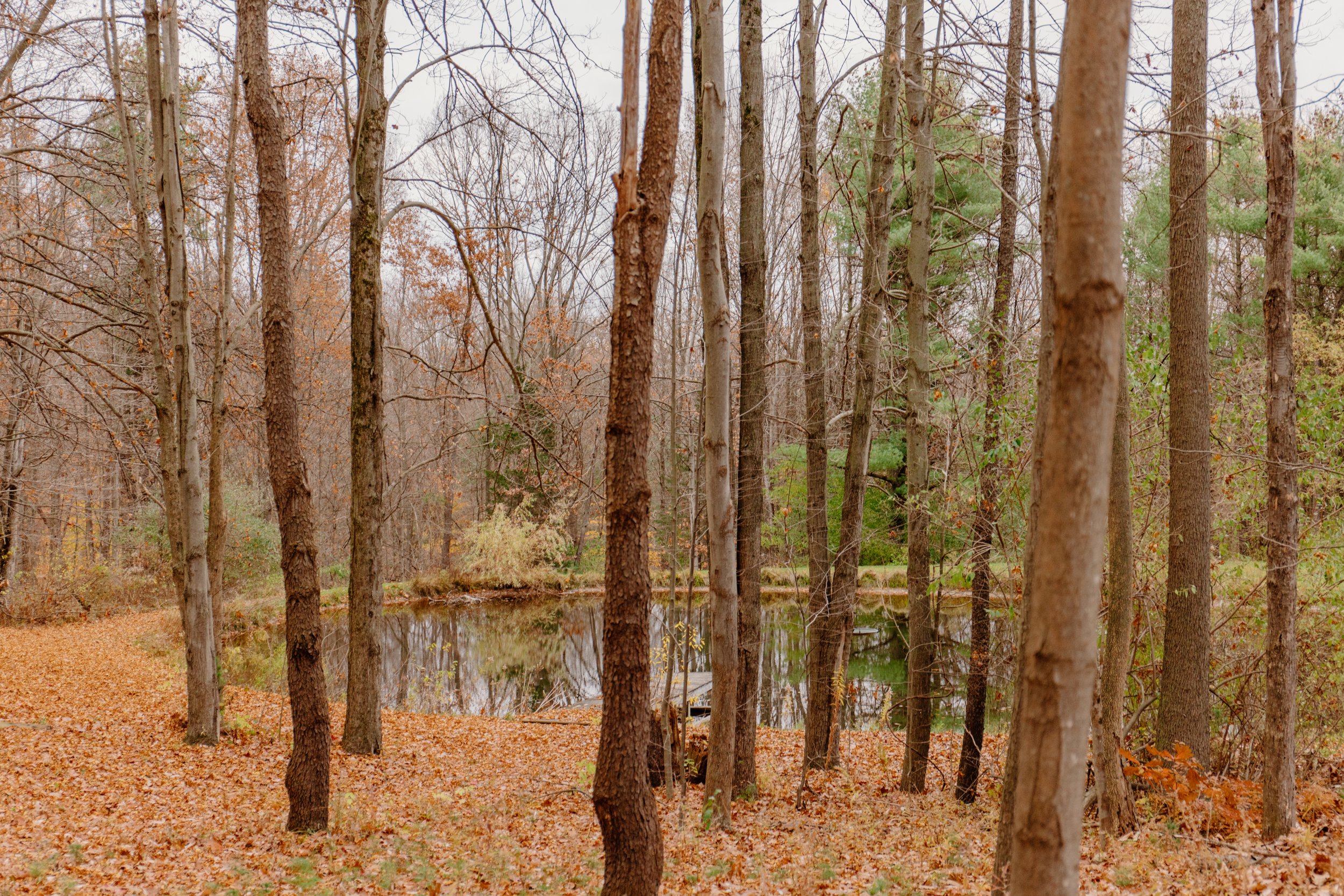 AdelineArtistry-RockStreamAirbnbWebSize-34.jpg
