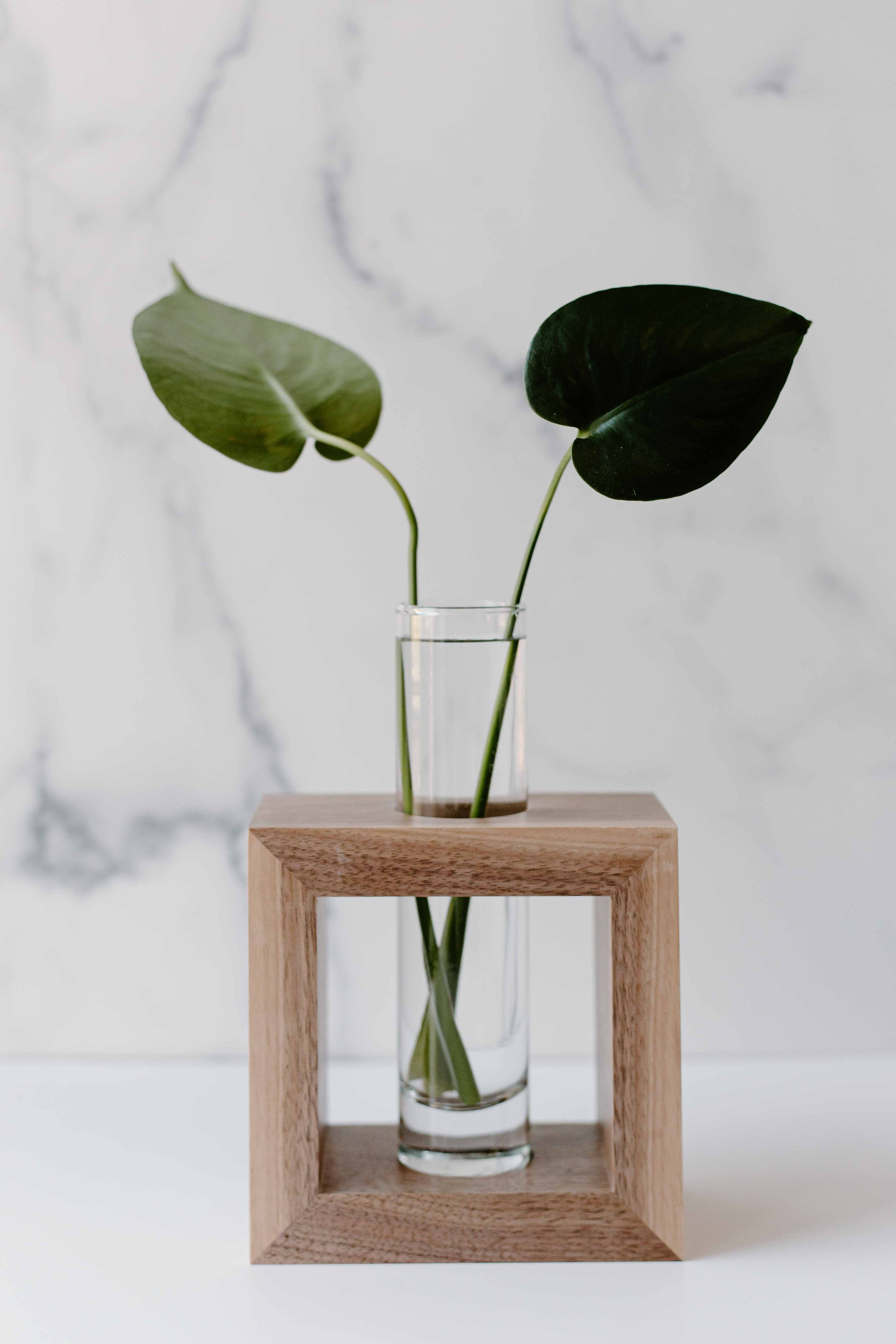 AdelineArtistry-GrowVases-NYCProductPhotographer-13.jpg