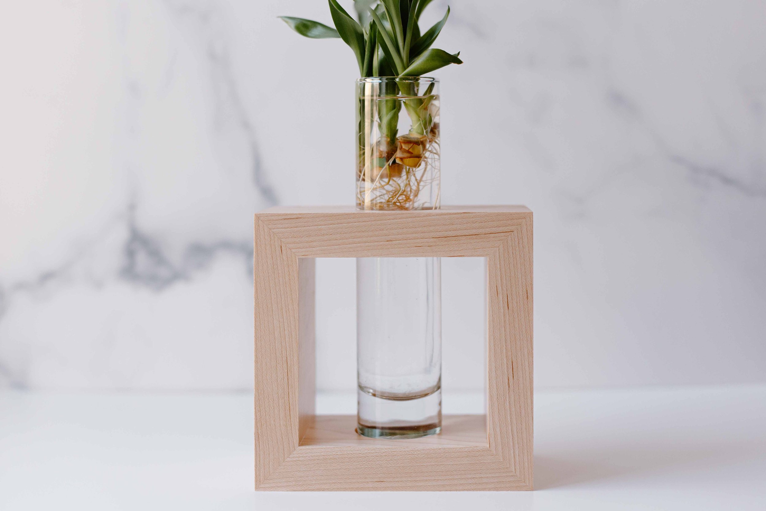 AdelineArtistry-GrowVases-NYCProductPhotographer-23.jpg