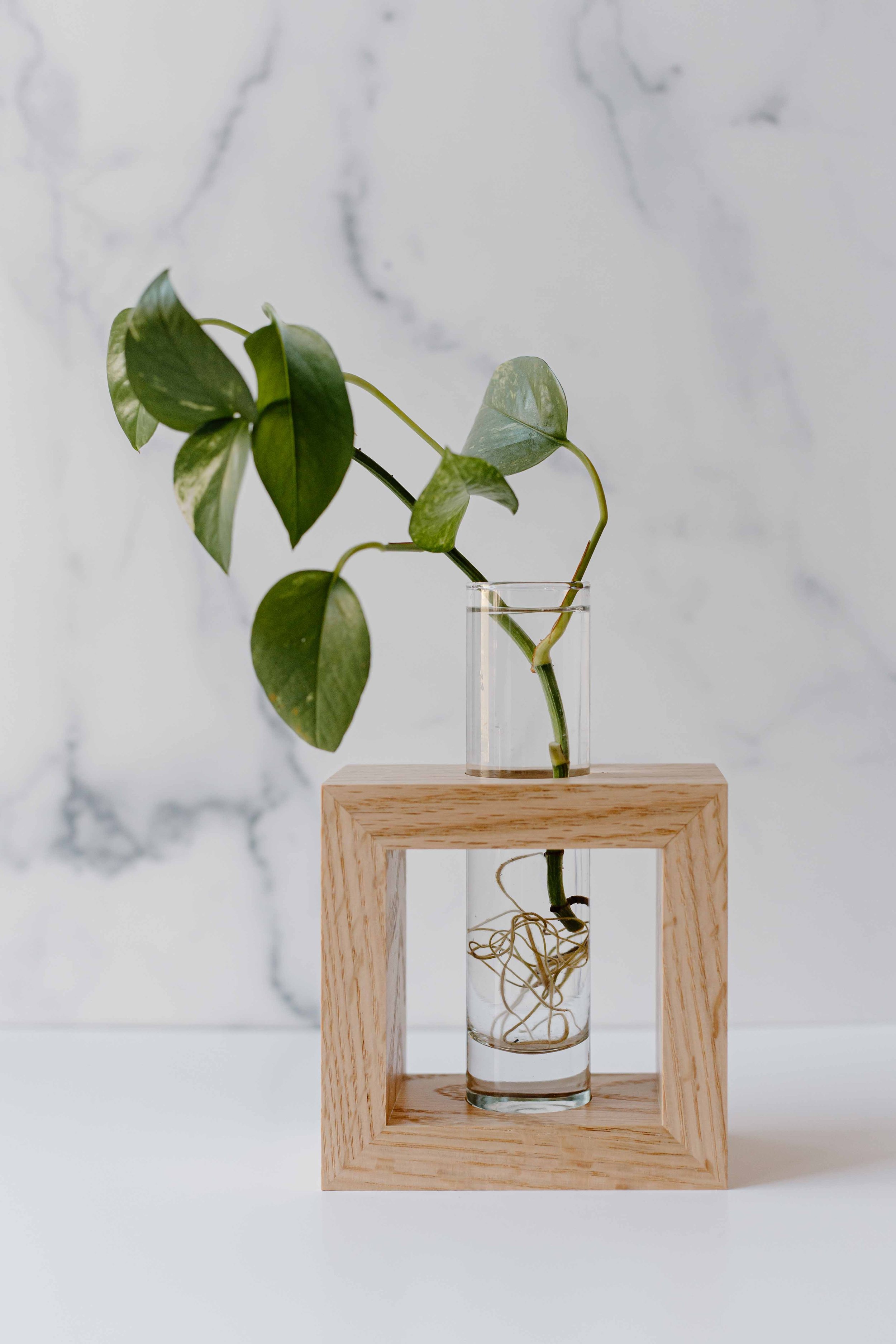 AdelineArtistry-GrowVases-NYCProductPhotographer-18.jpg