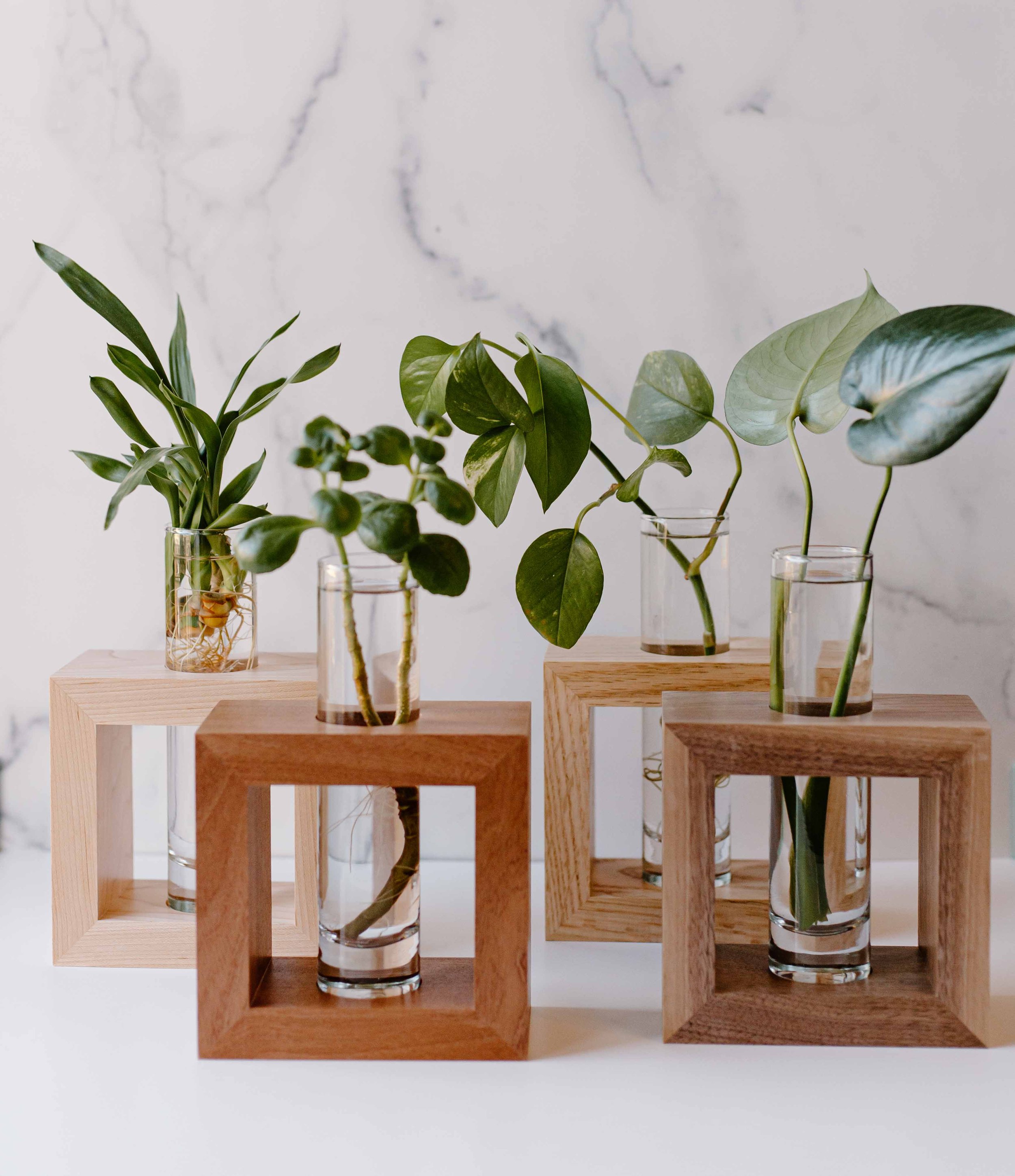 AdelineArtistry-GrowVases-NYCProductPhotographer-30.jpg