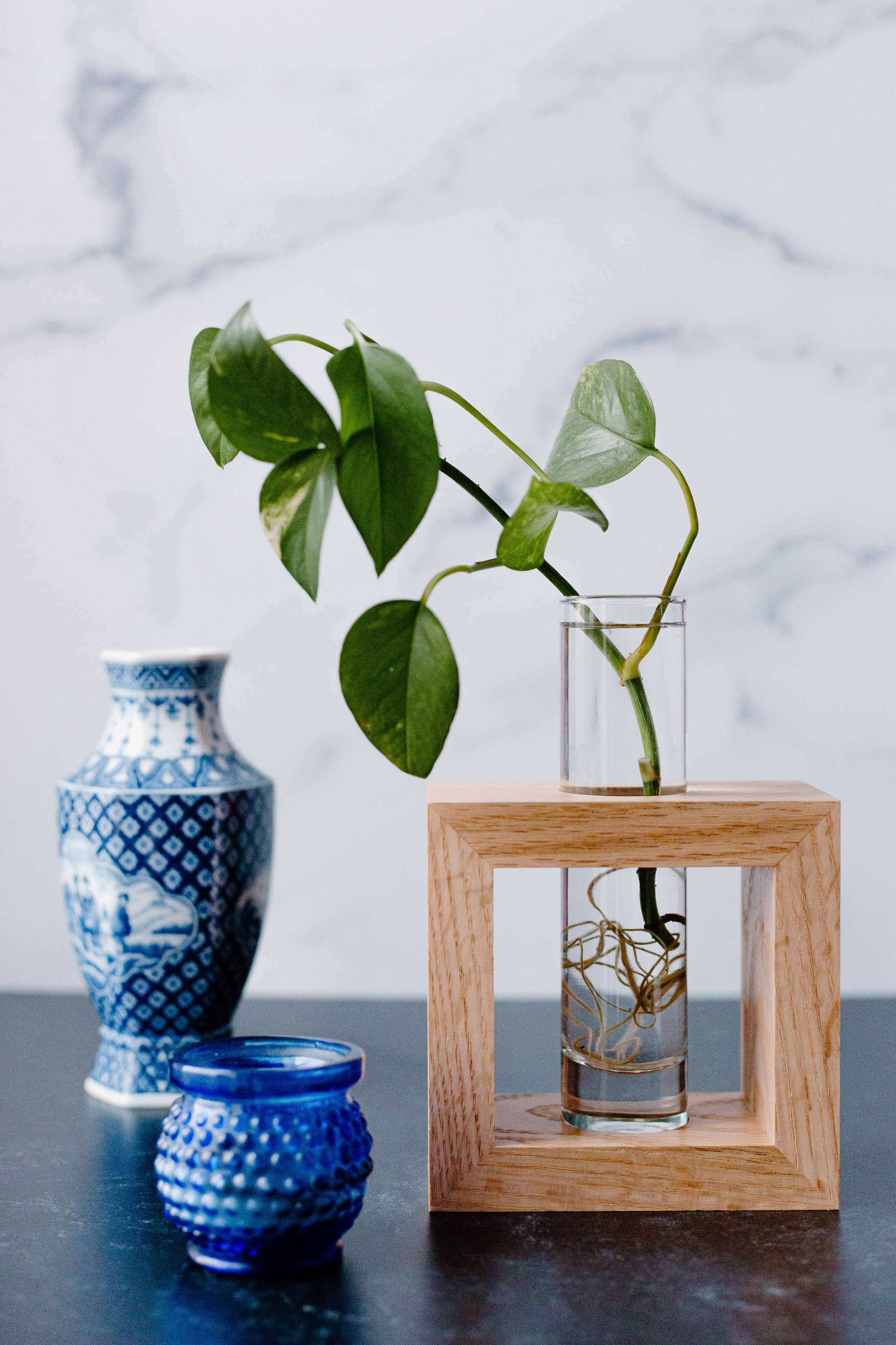AdelineArtistry-GrowVases-NYCProductPhotographer-48.jpg