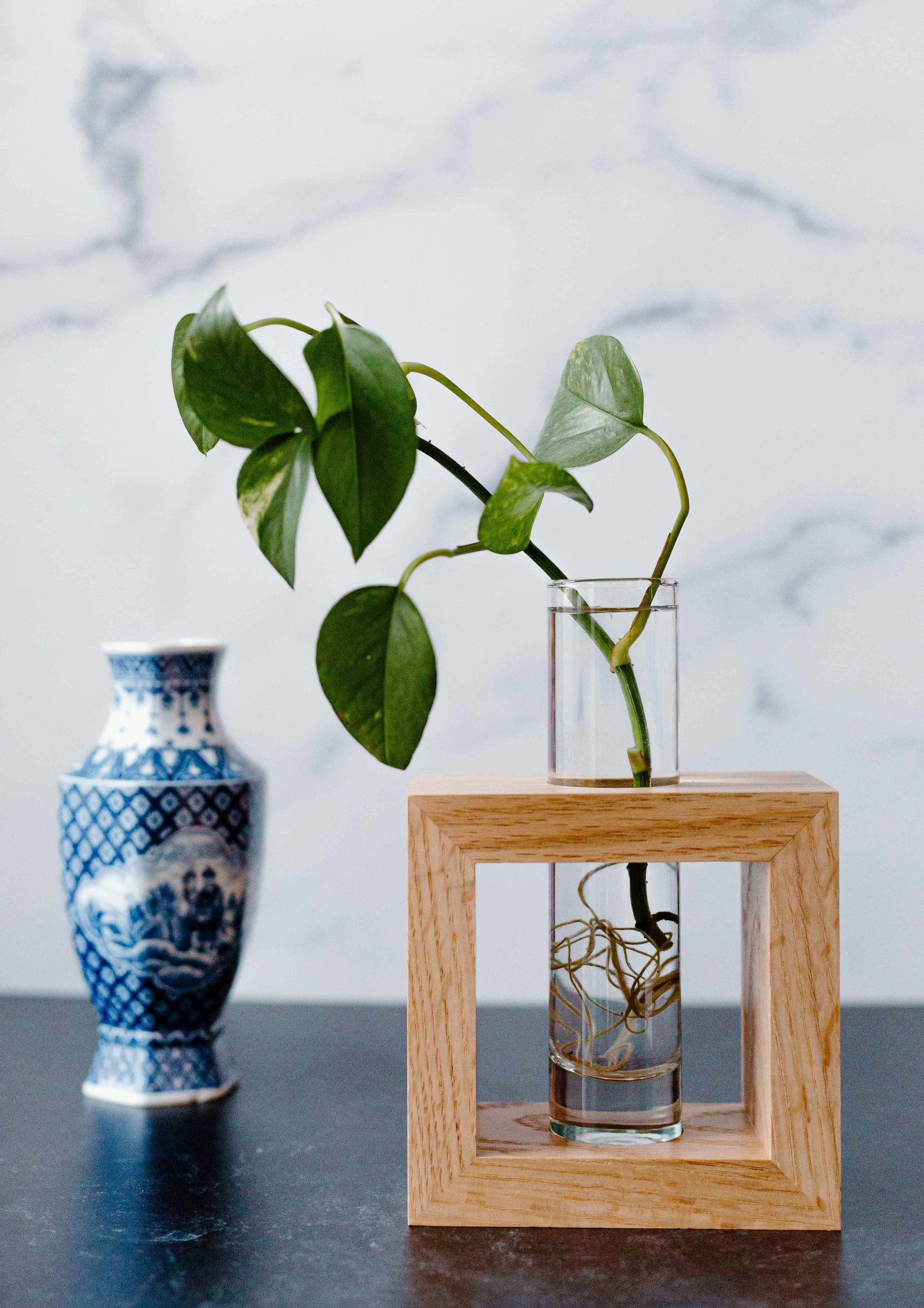 AdelineArtistry-GrowVases-NYCProductPhotographer-47.jpg
