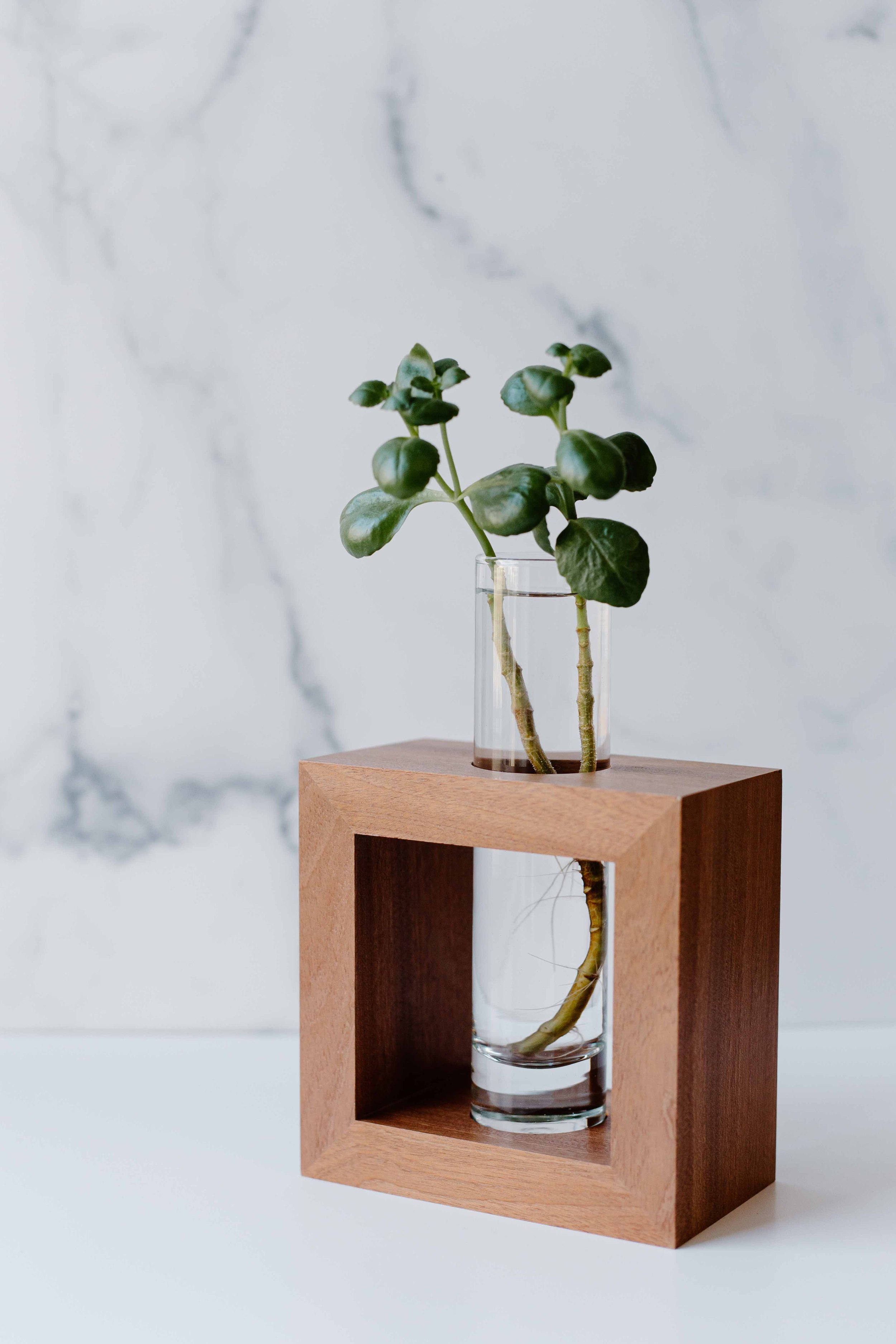 AdelineArtistry-GrowVases-NYCProductPhotographer-9.jpg