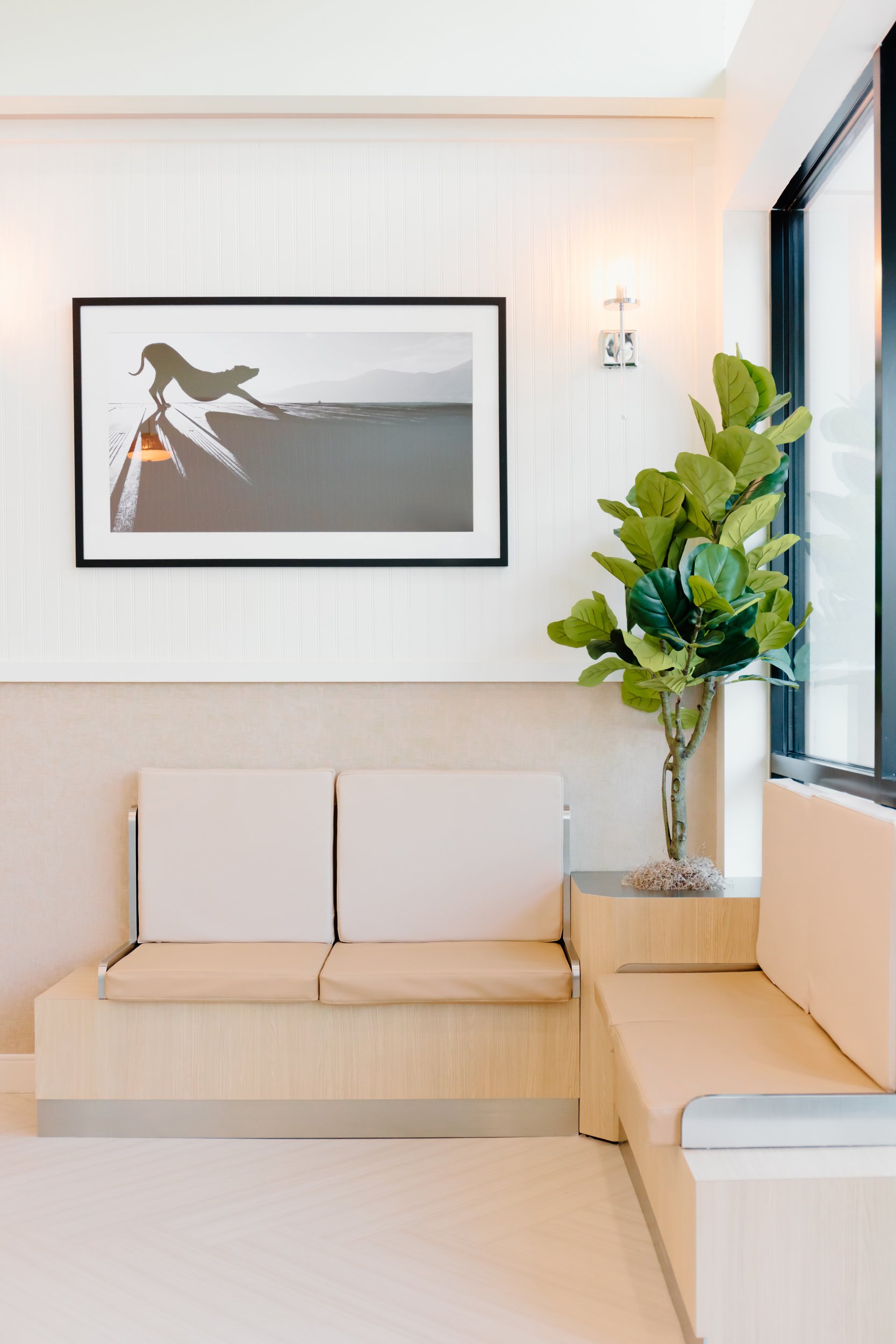 AdelineArtistry-GoodVetsTampa-TampaBrandPhotographer-NYCCorporatePhotographer-51.jpg