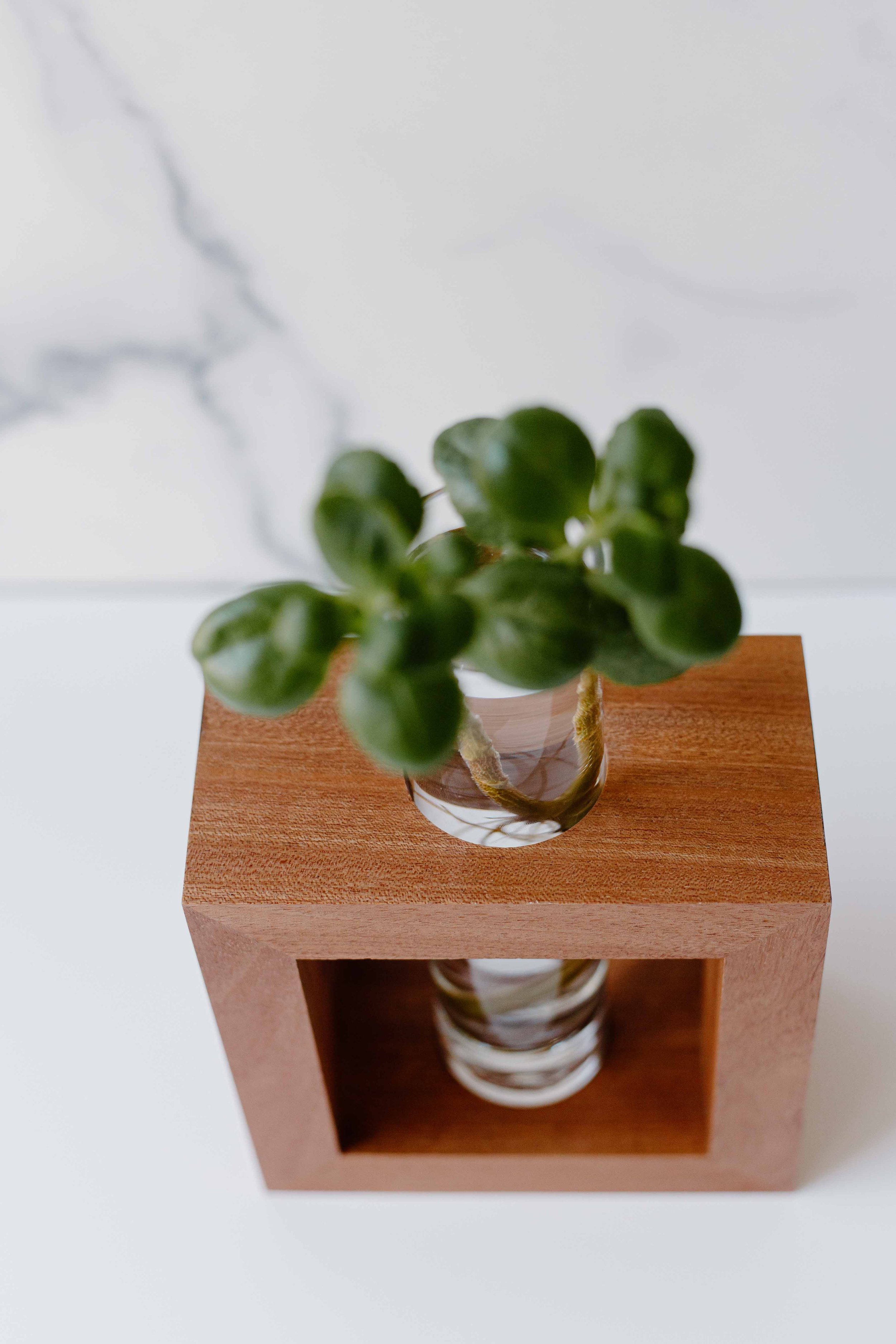 AdelineArtistry-GrowVases-NYCProductPhotographer-8.jpg