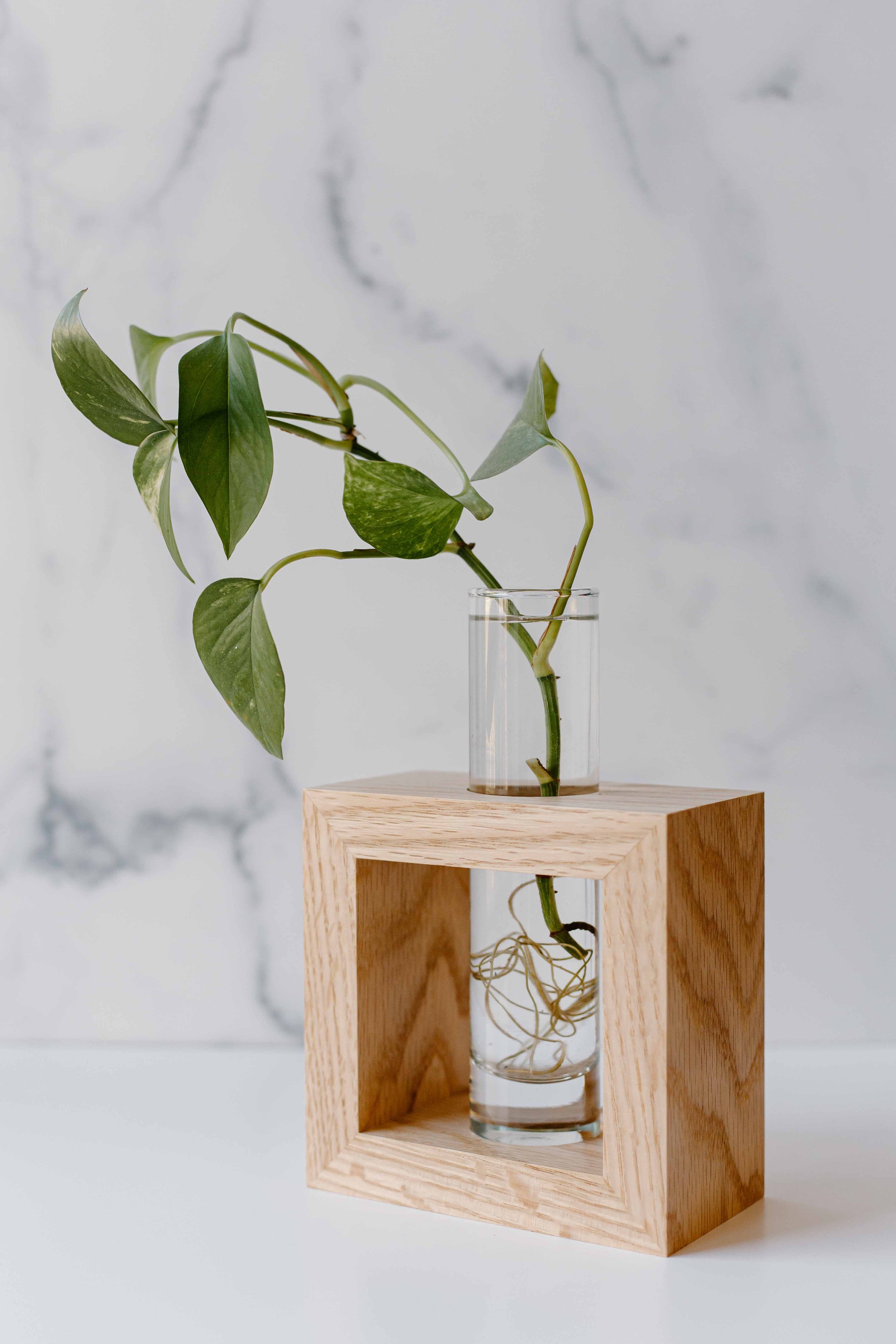 AdelineArtistry-GrowVases-NYCProductPhotographer-20.jpg