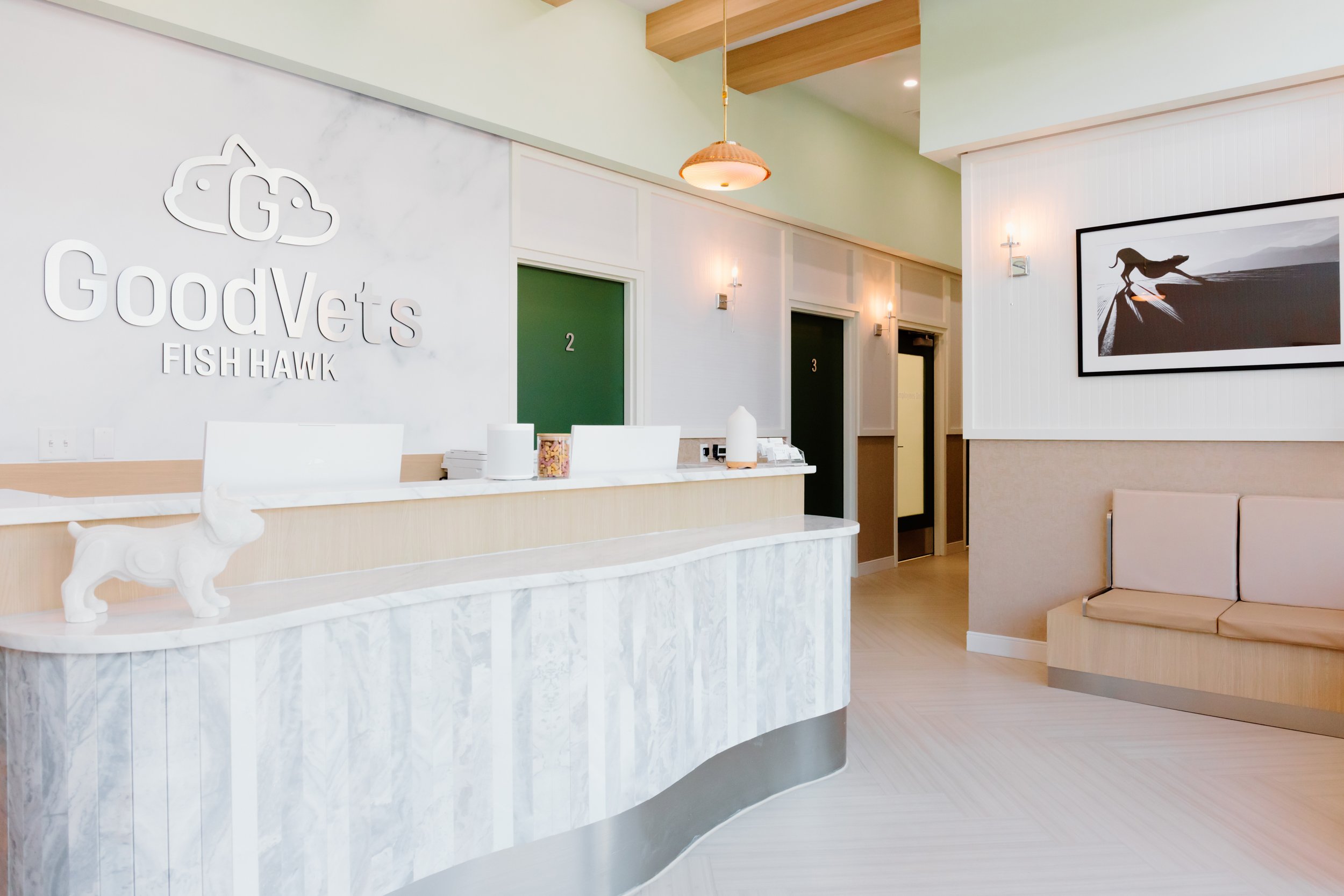 AdelineArtistry-GoodVetsTampa-TampaBrandPhotographer-NYCCorporatePhotographer-55.jpg