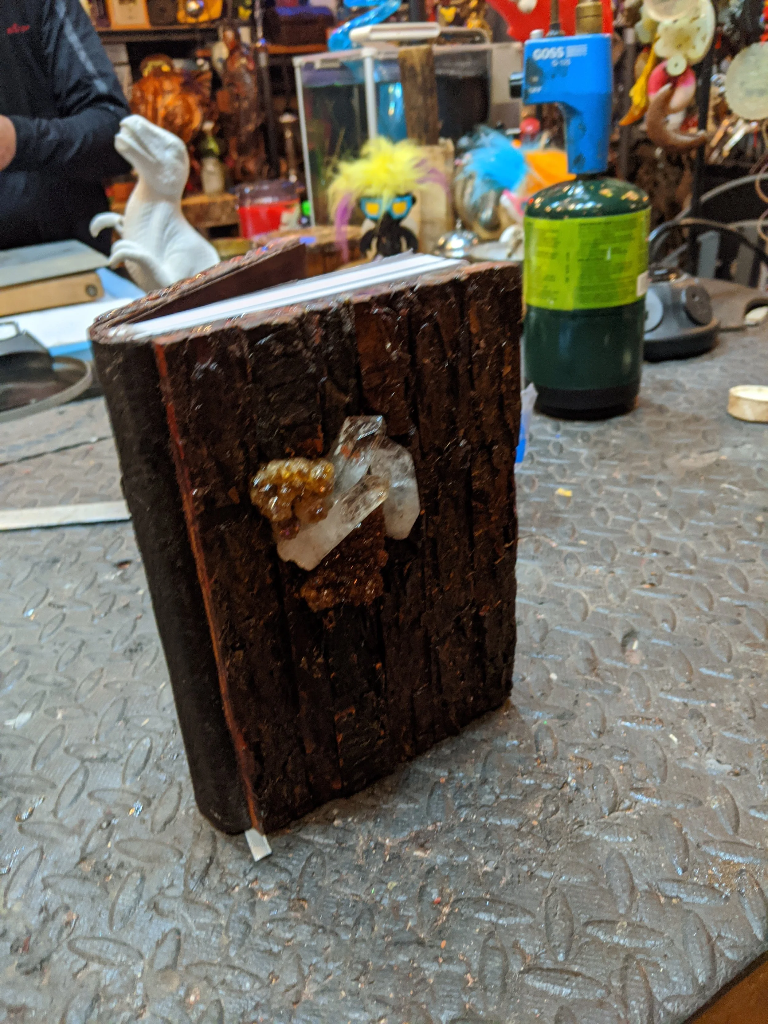 MVIMG_20191109_151338.jpg