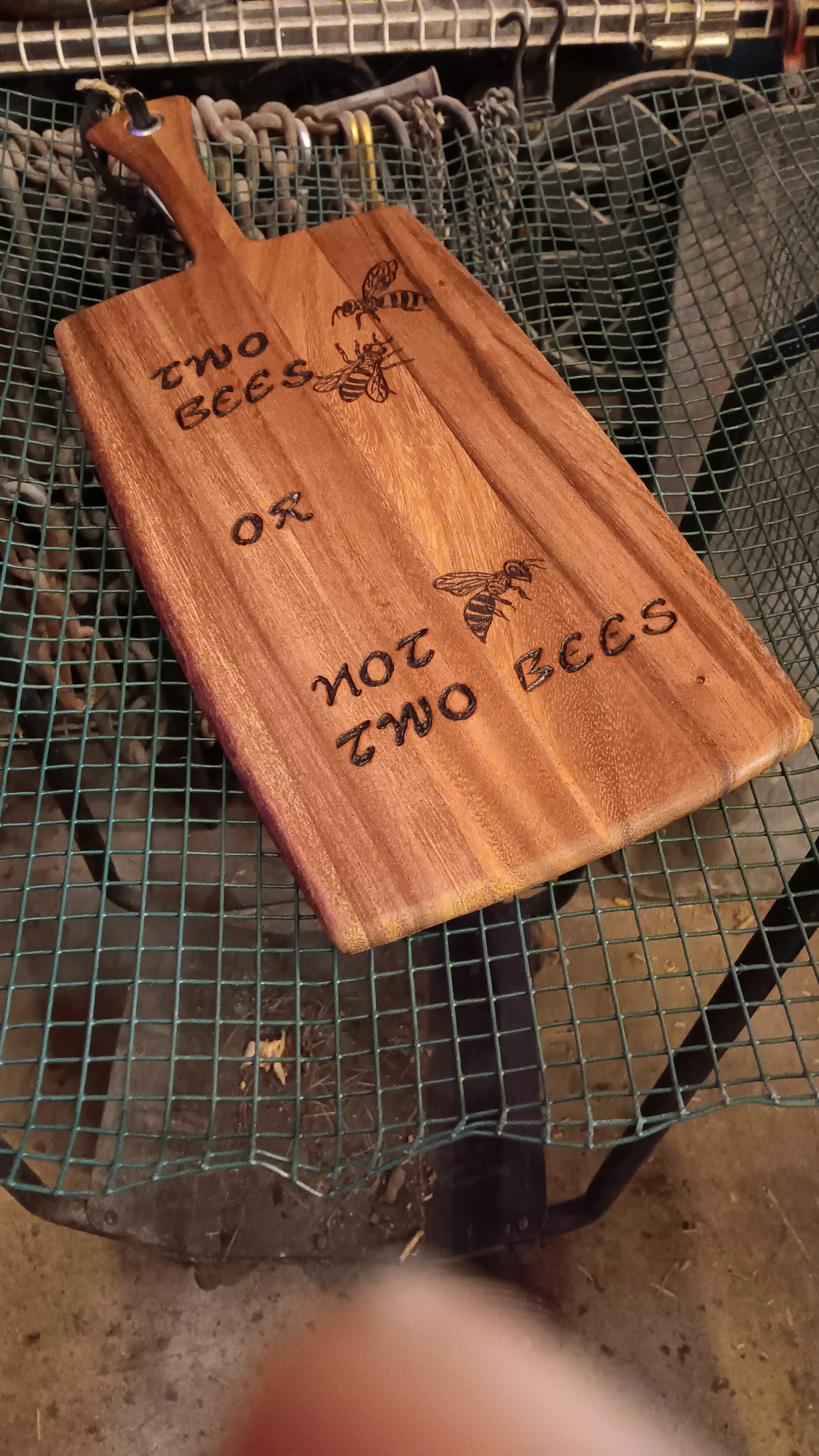 20240604_144558.jpg