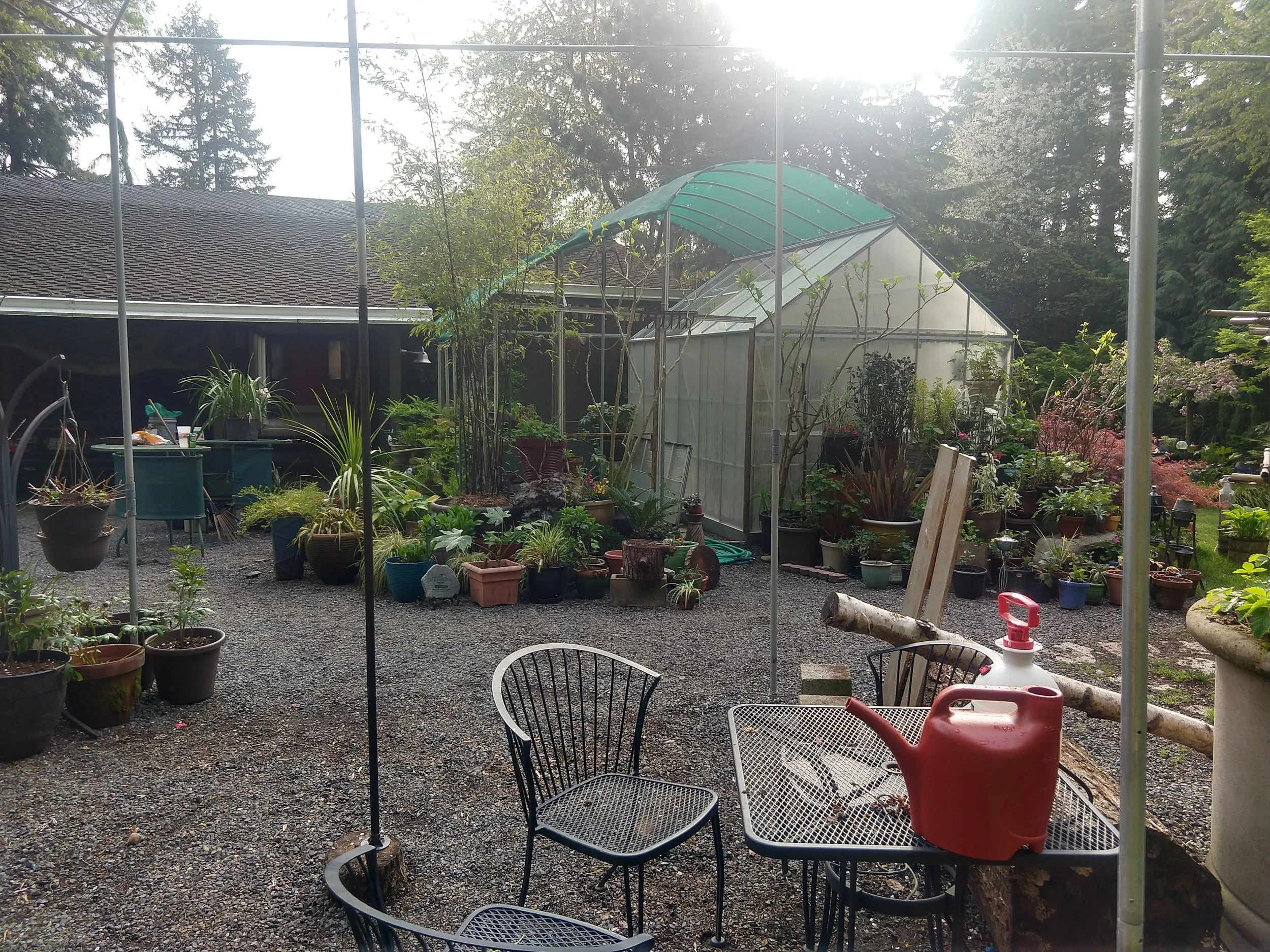 IMG_20200429_083013663_HDR.jpg