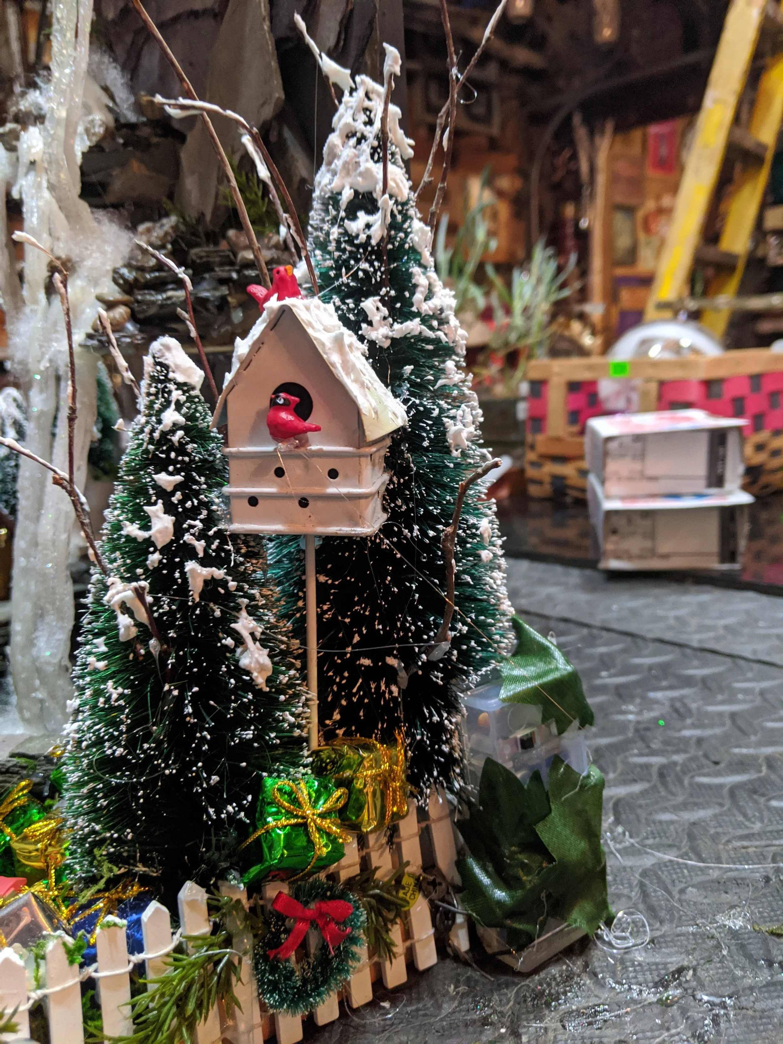 MVIMG_20191119_091030.jpg