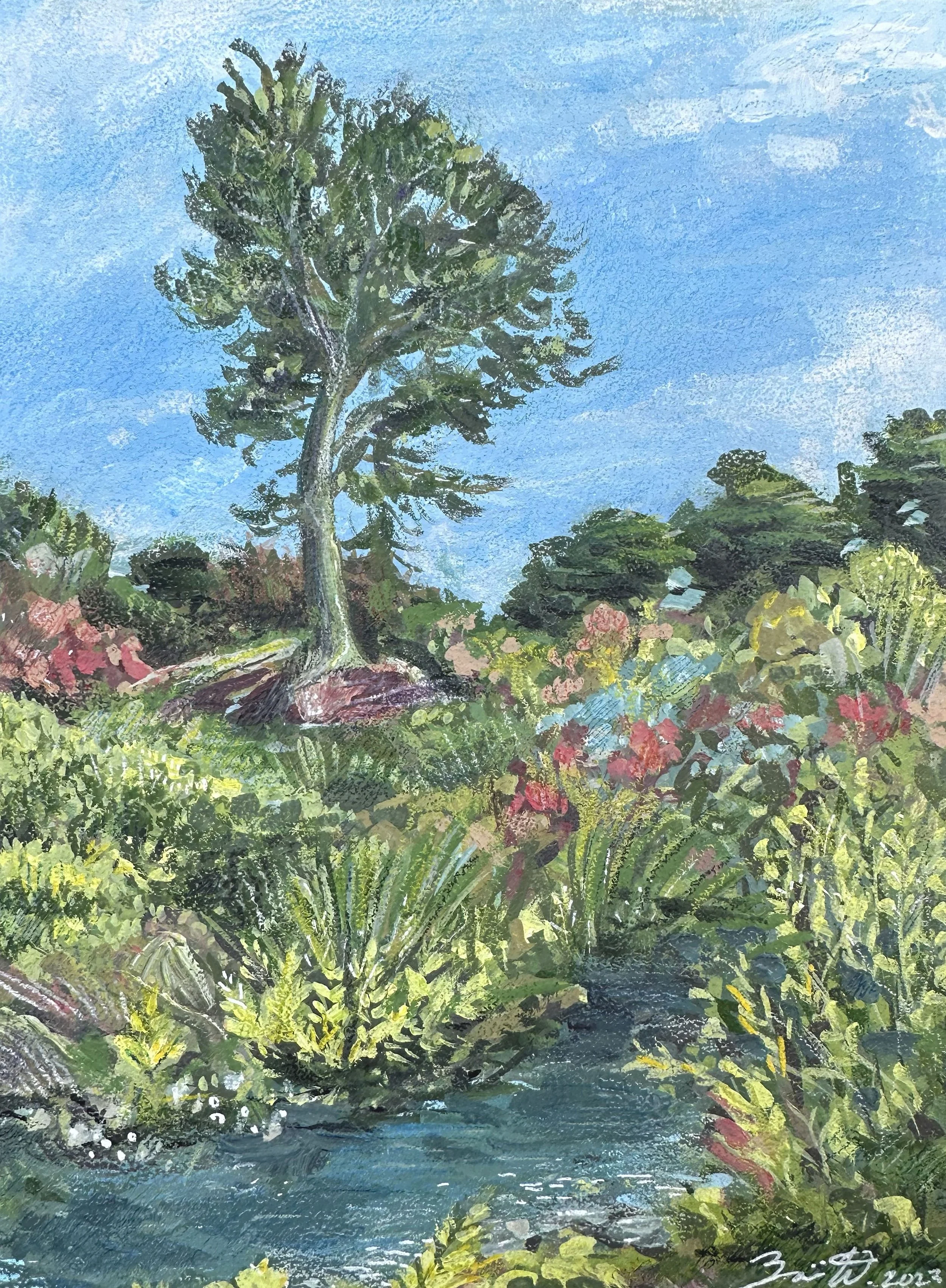 Nature.jpg