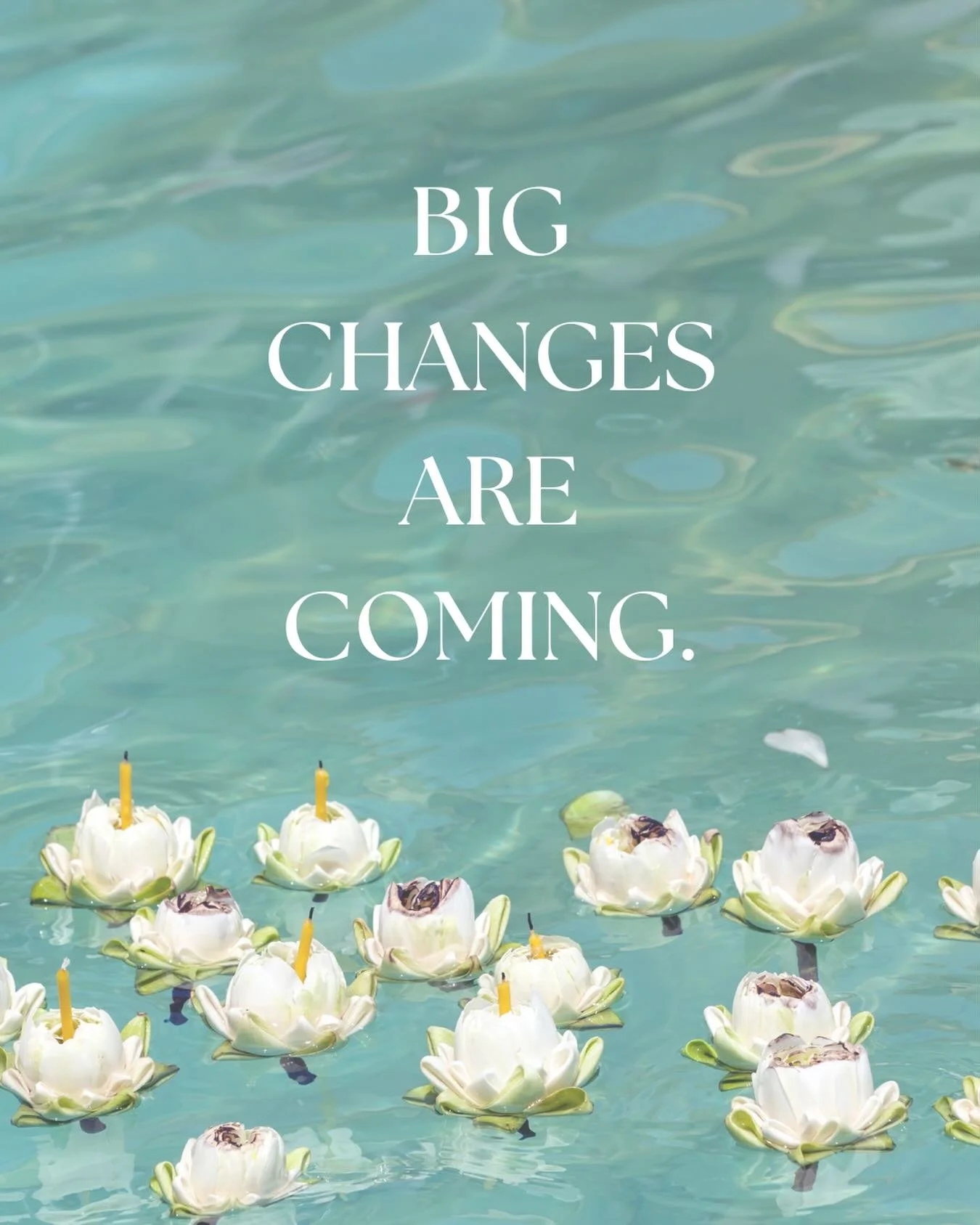 Big changes are coming! 🪷

This year, Lotus Magazine is no longer doing print issues and we will be moving everything online.

Going digital gives us more space to engage with our readers, focus on more timely stories, and support our team members a